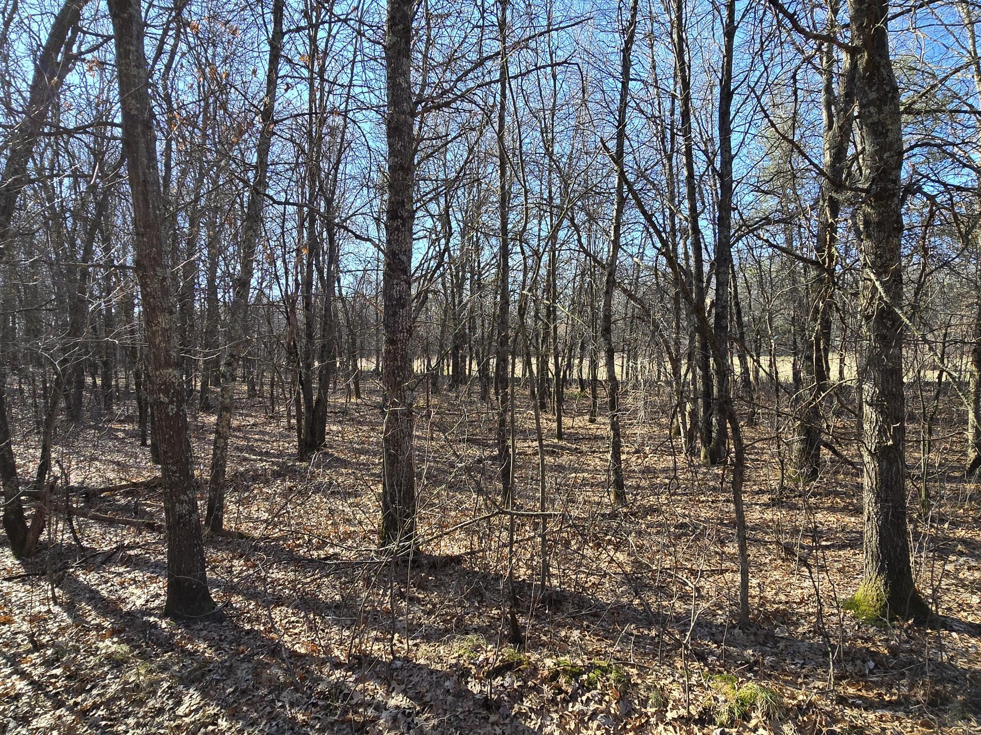 Lot 2 Buck Rub Road Property Photo 7