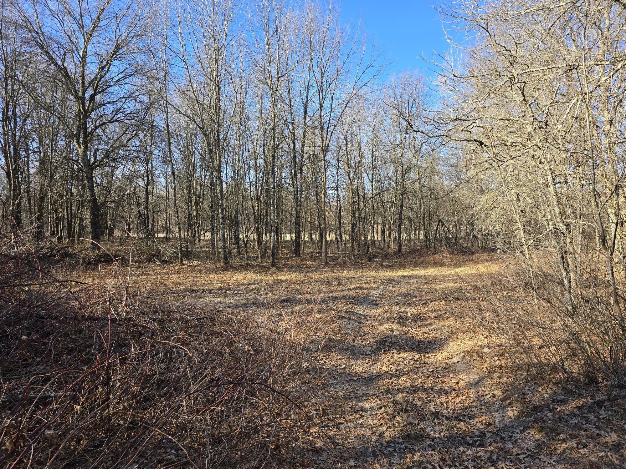 Lot 2 Buck Rub Road Property Photo 8