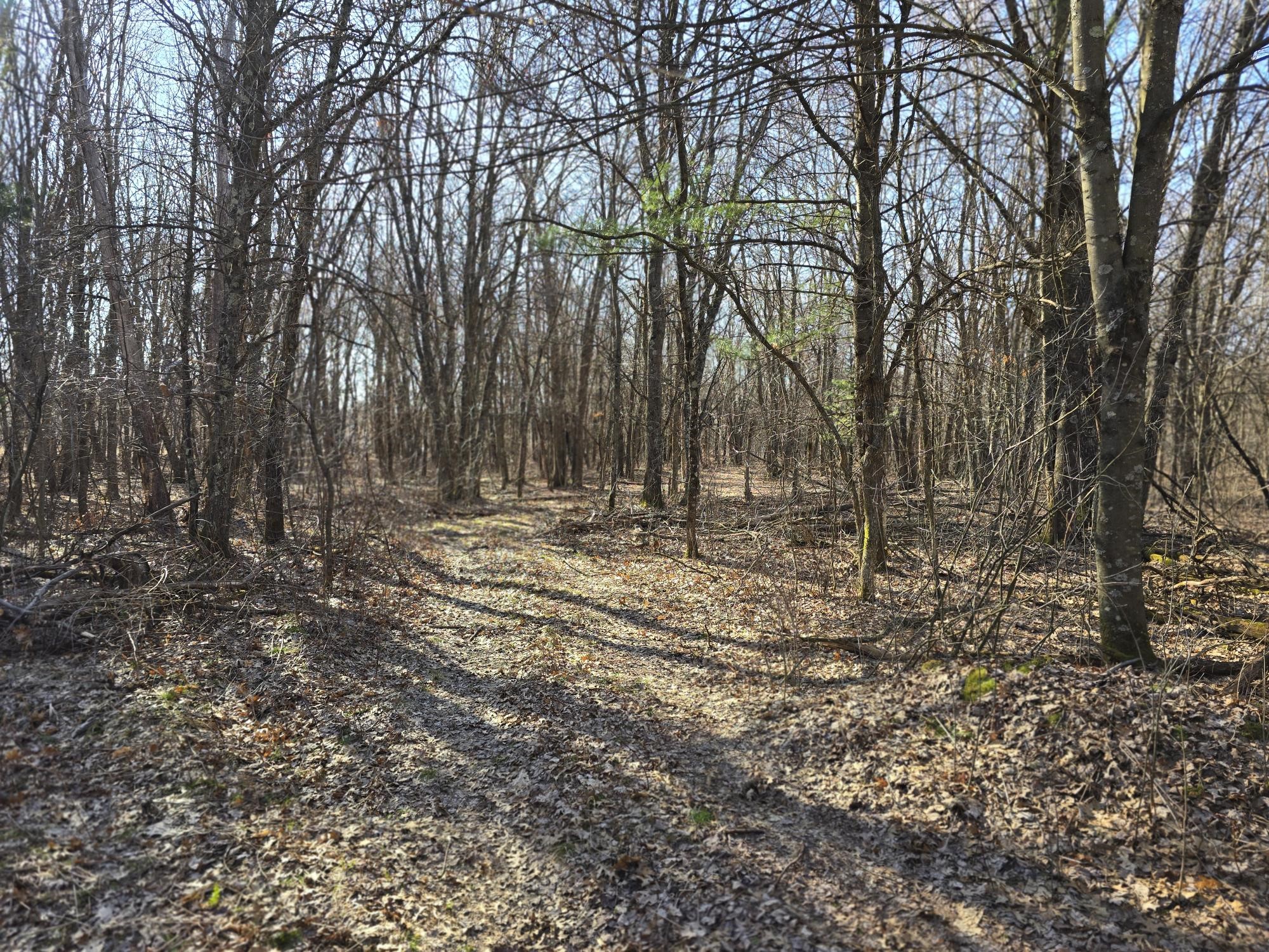 Lot 2 Buck Rub Road Property Photo 9