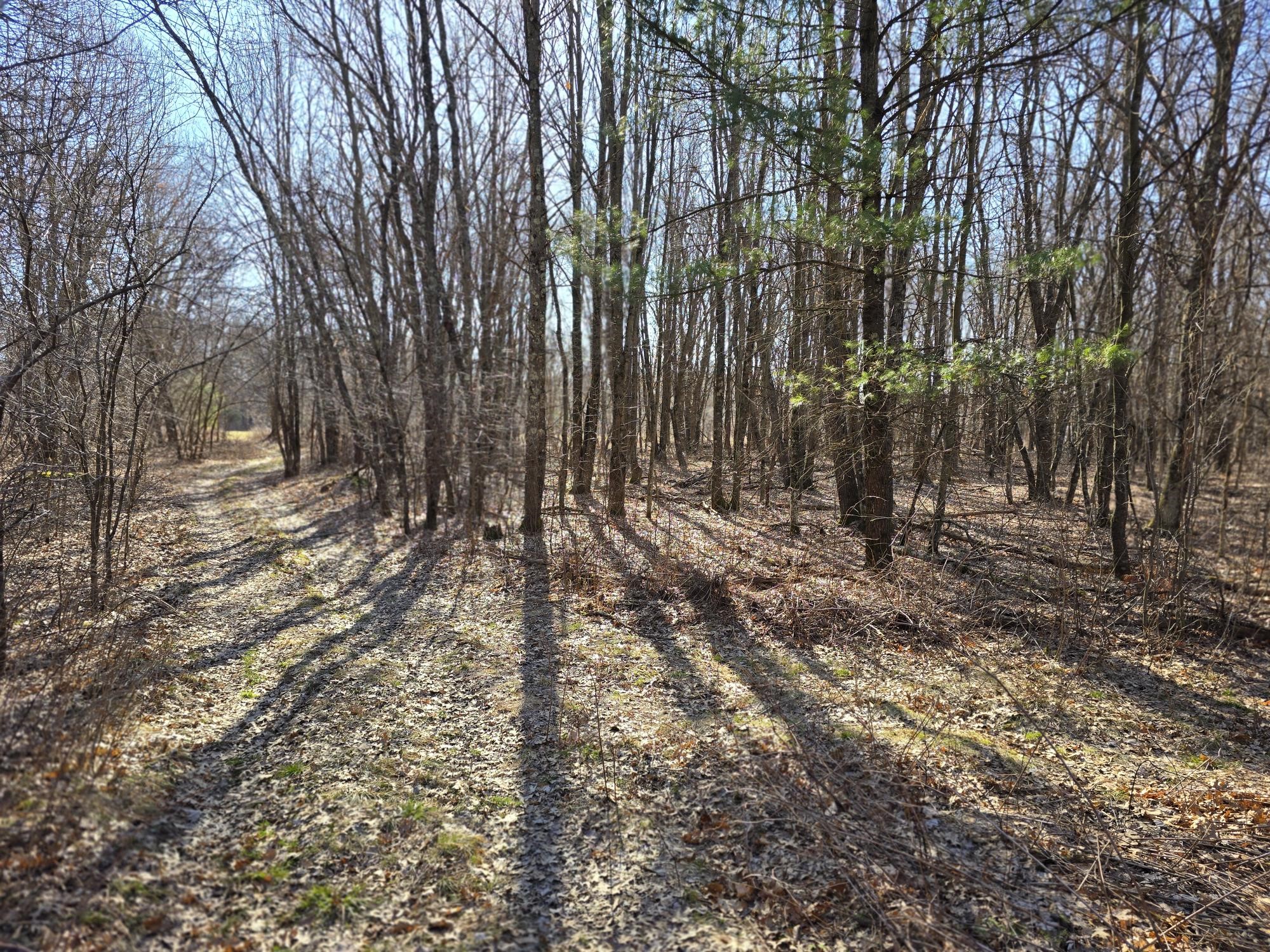Lot 2 Buck Rub Road Property Photo 10