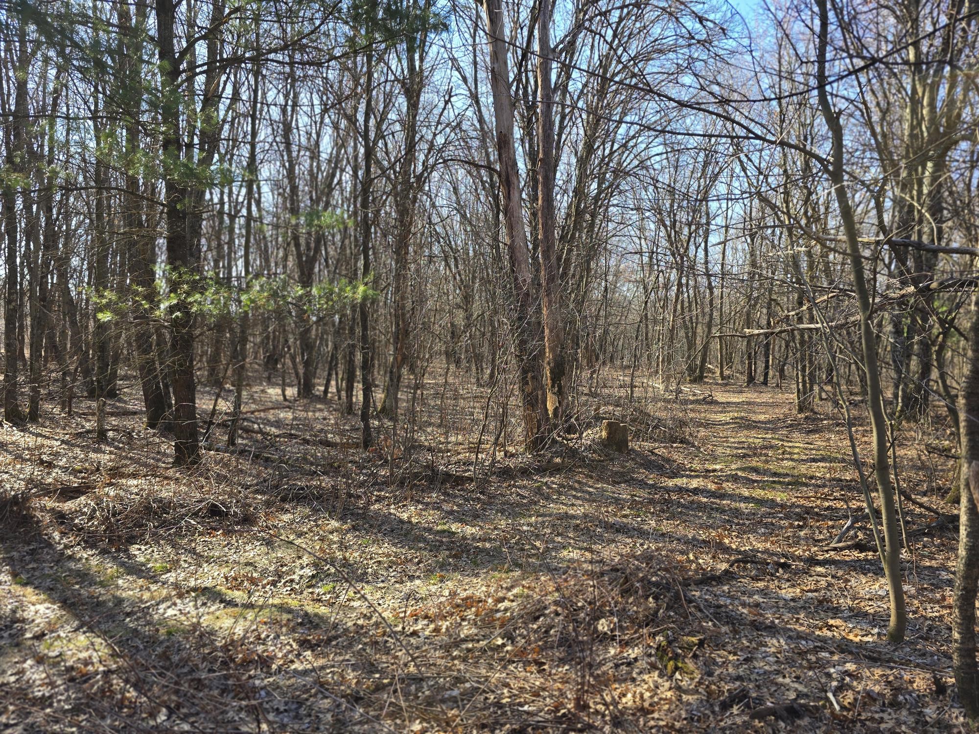 Lot 2 Buck Rub Road Property Photo 11
