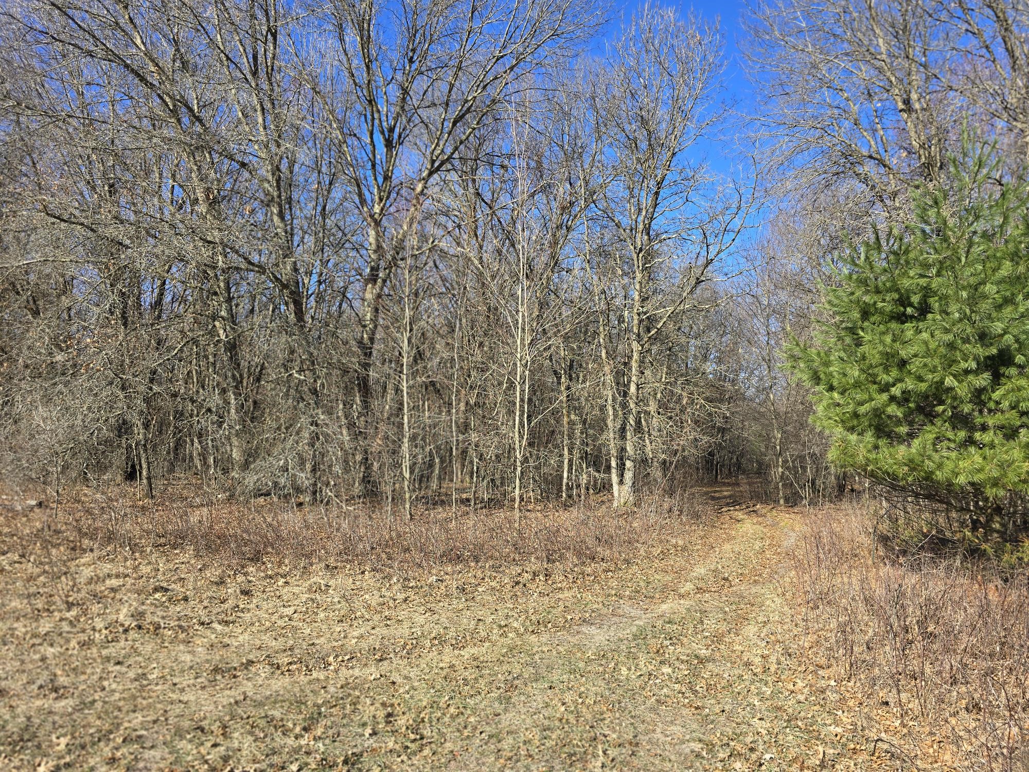 Lot 2 Buck Rub Road Property Photo 13