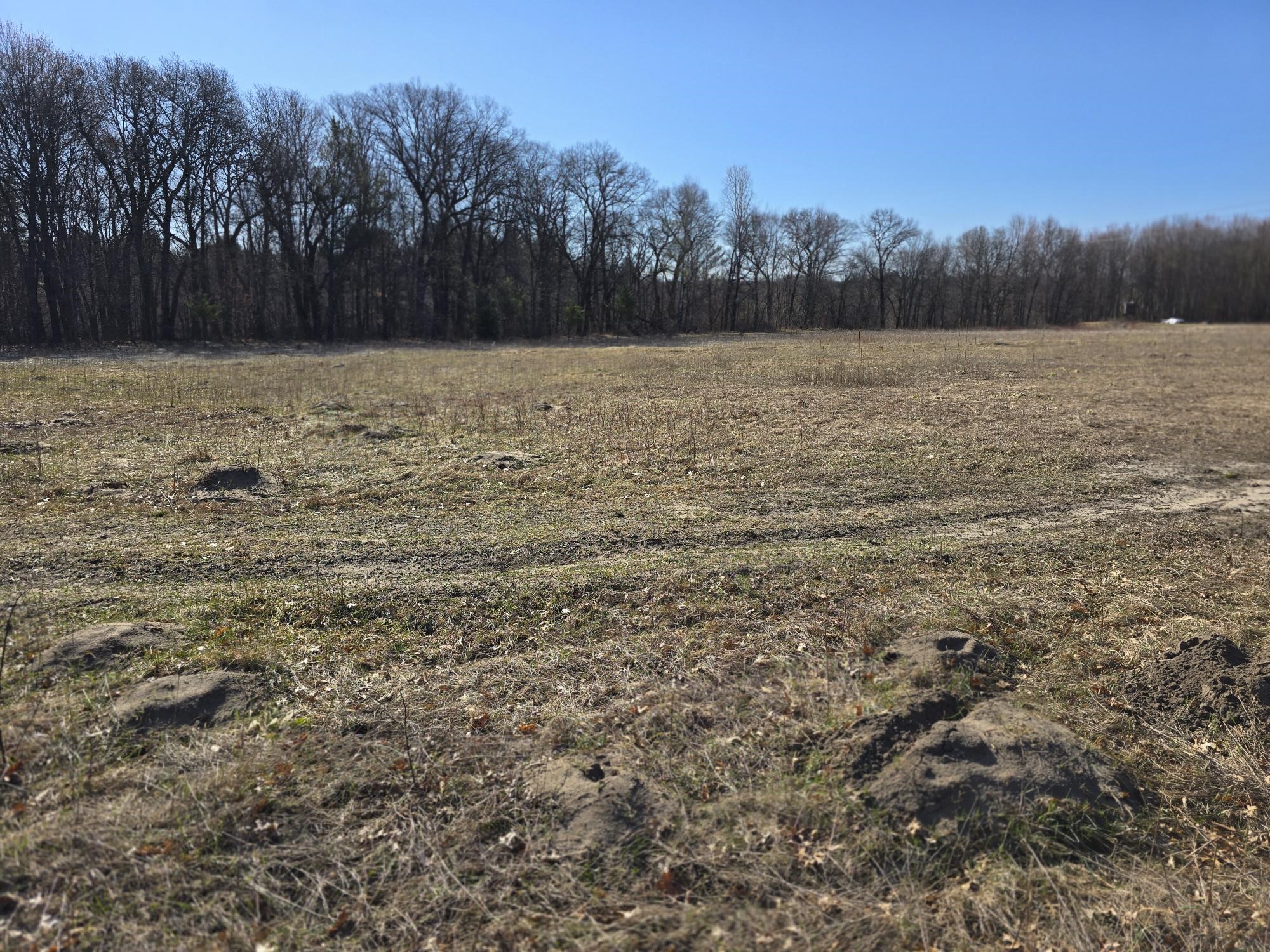 Lot 2 Buck Rub Road Property Photo 14