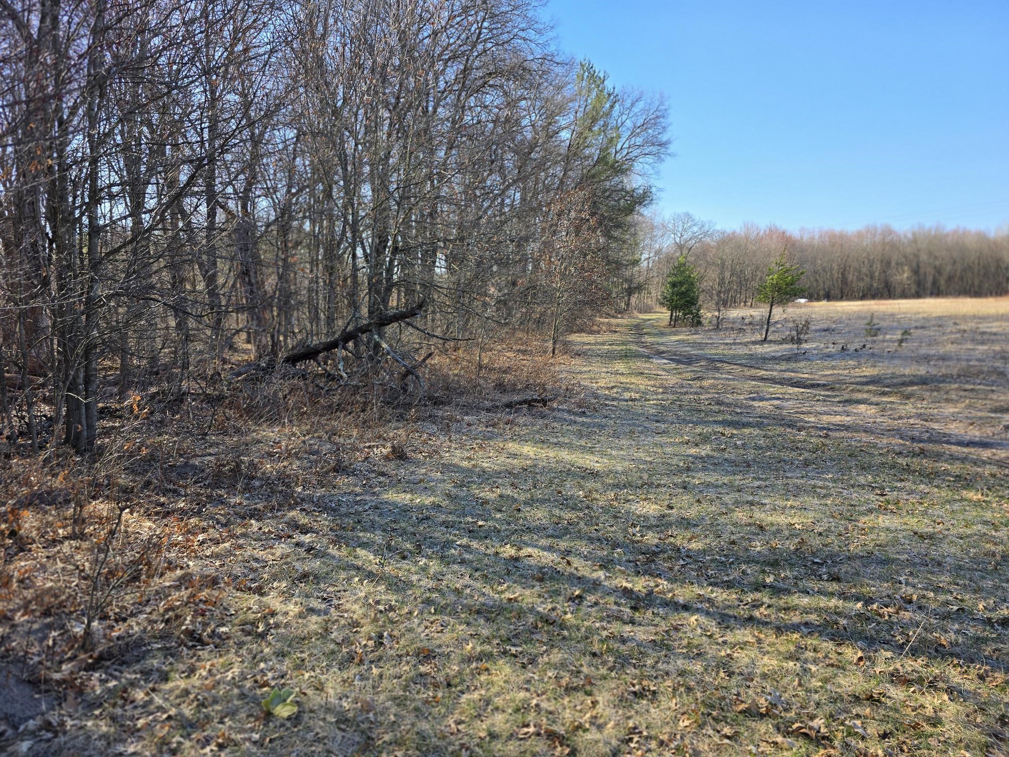 Lot 2 Buck Rub Road Property Photo 15