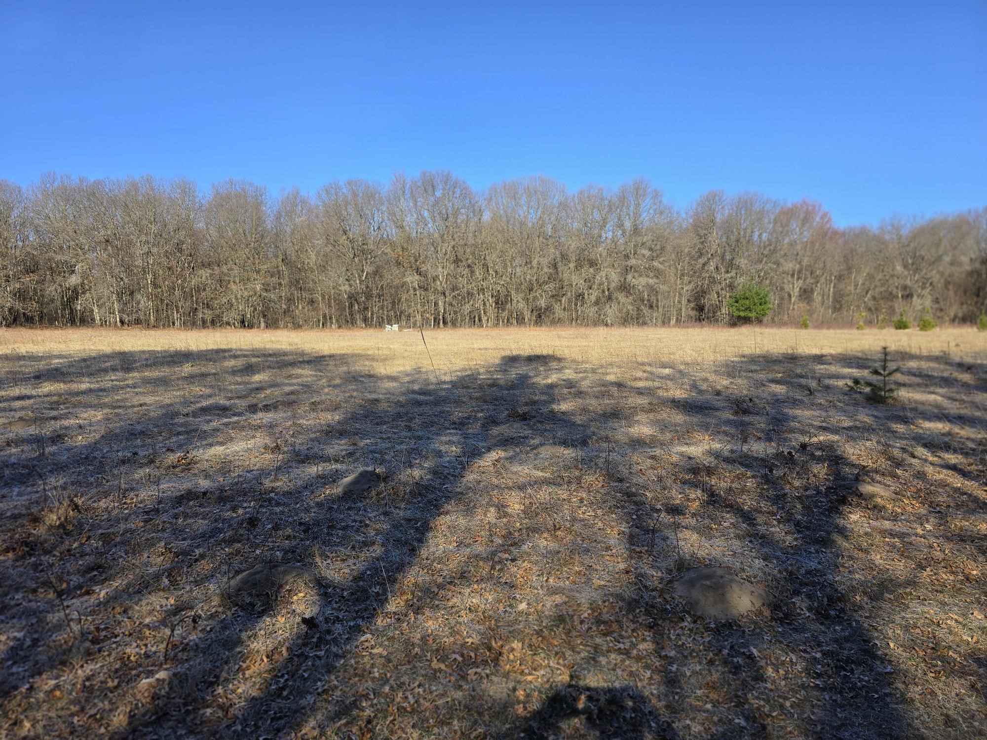 Lot 2 Buck Rub Road Property Photo 17