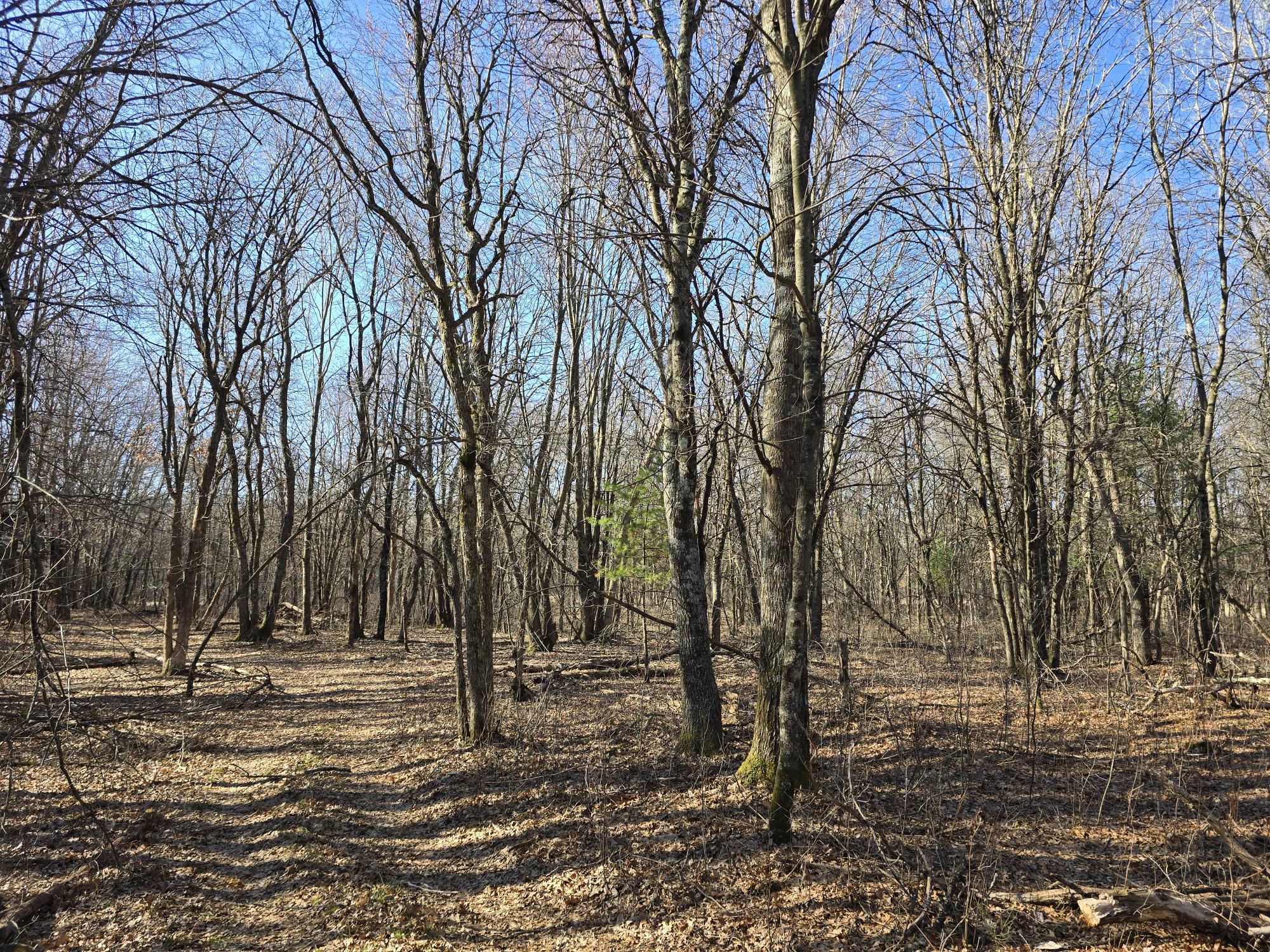 Lot 2 Buck Rub Road Property Photo 19