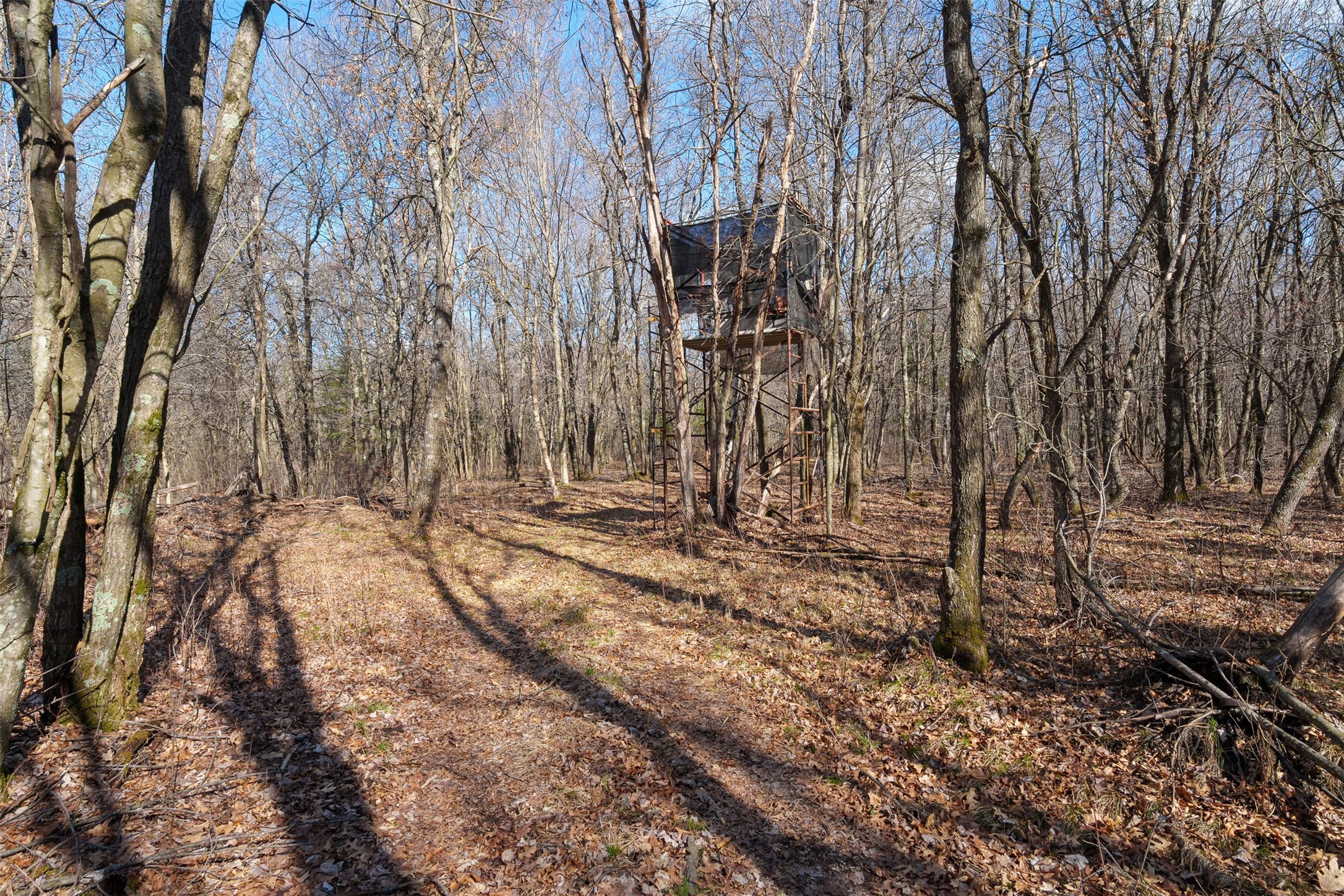 Lot 2 Buck Rub Road Property Photo 25