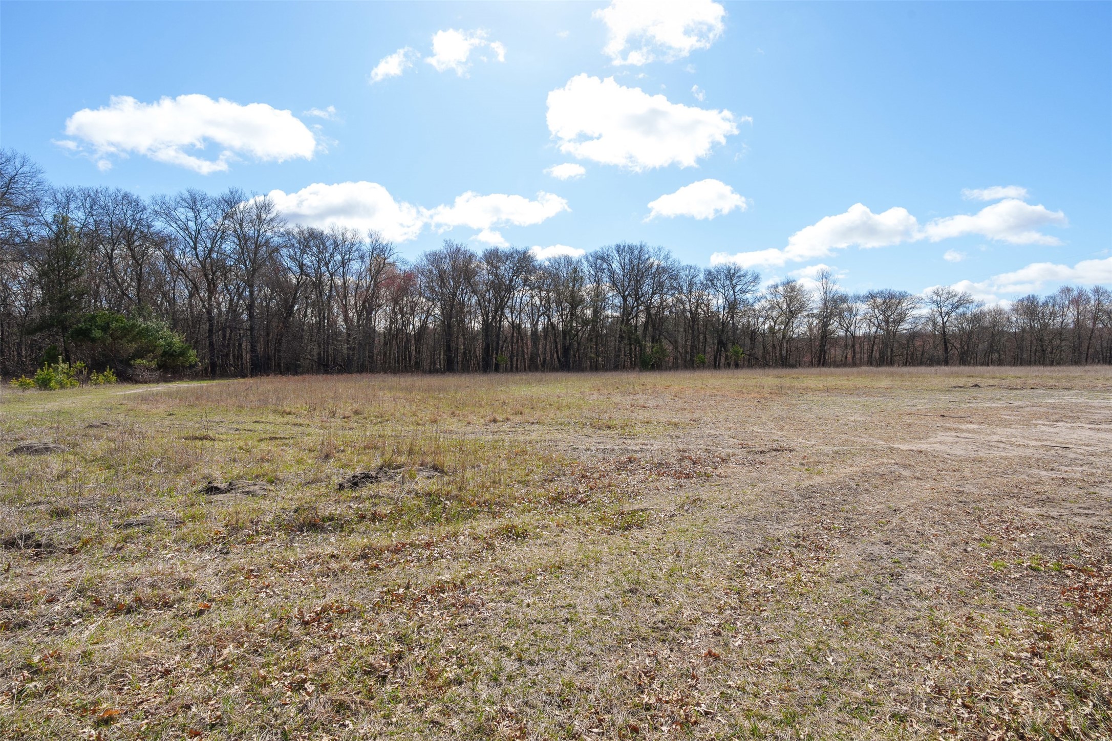 Lot 2 Buck Rub Road Property Photo 29