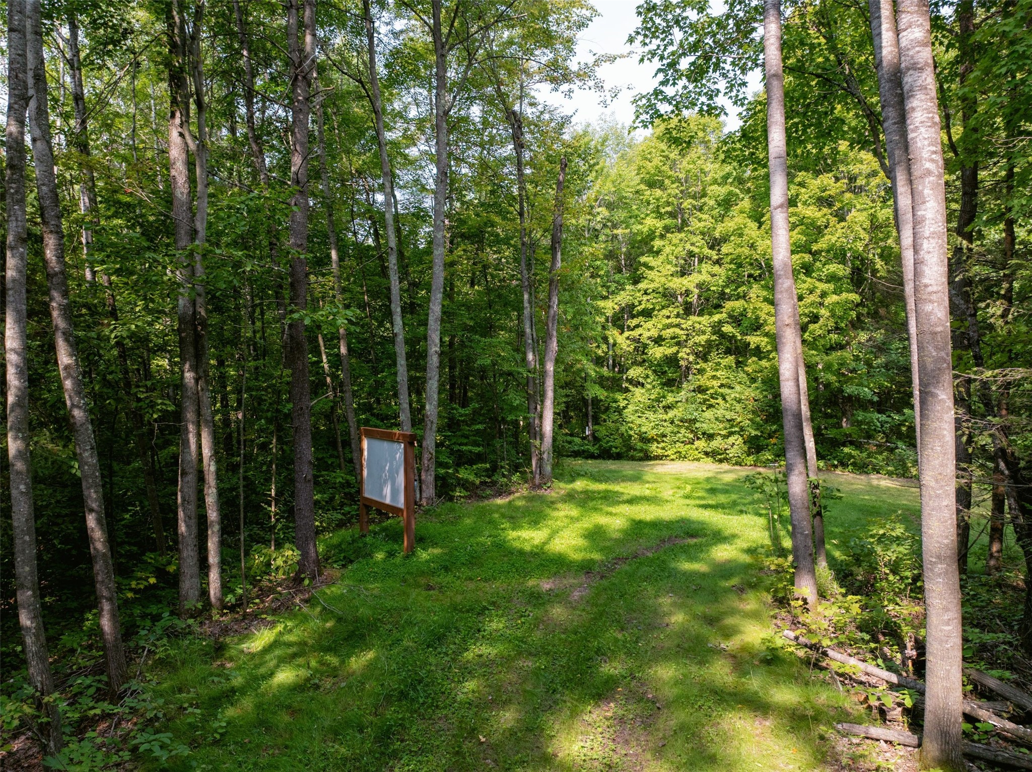 11349n Vasa Road Property Photo 6
