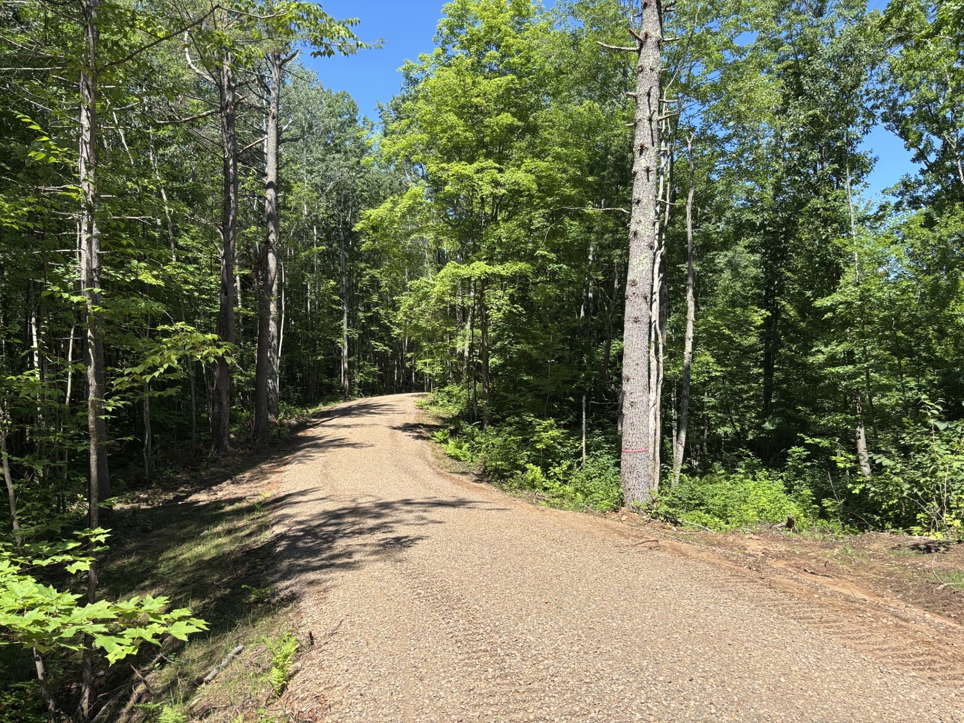 11352n Vasa Road Property Photo 4