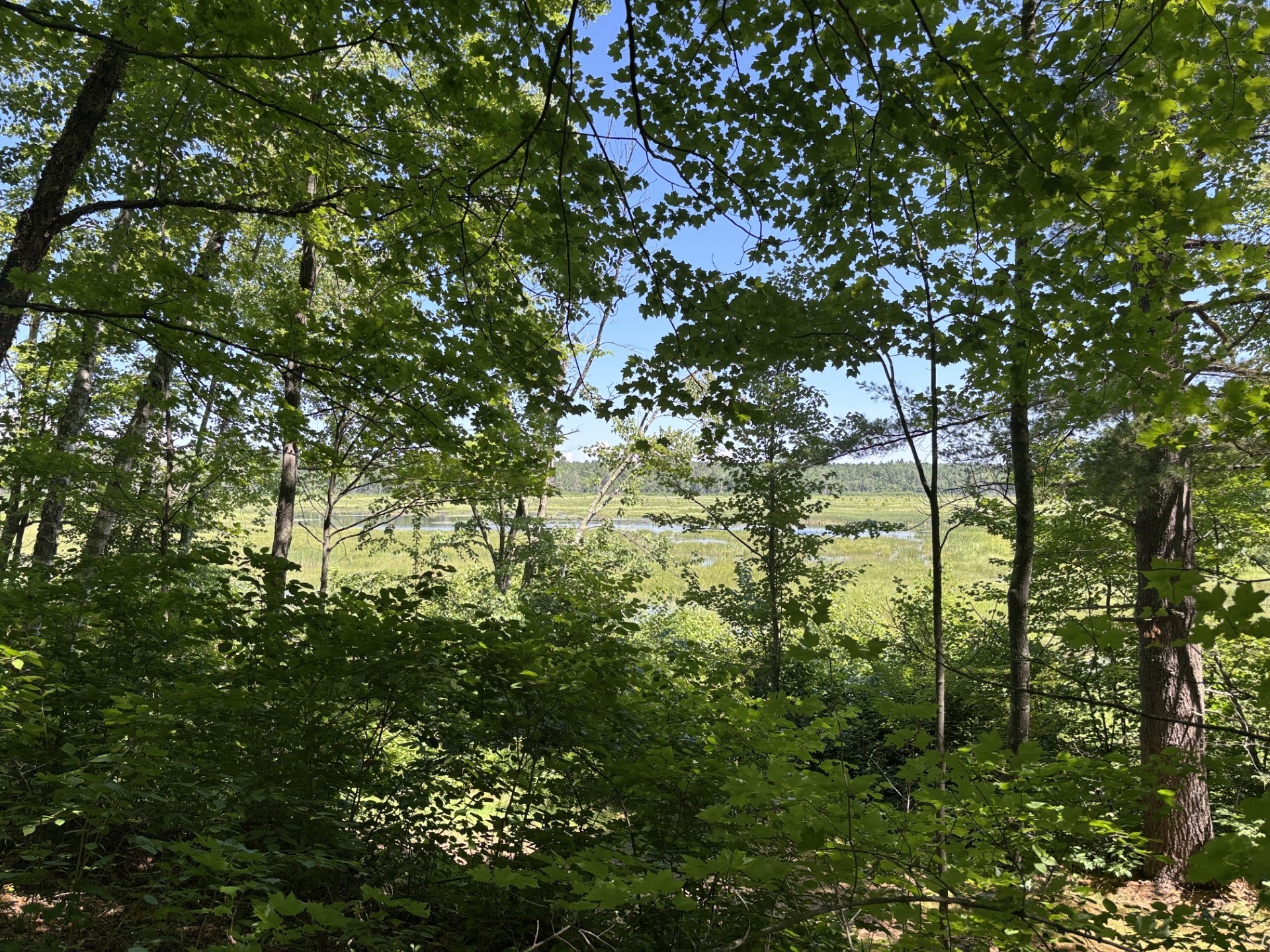 11352n Vasa Road Property Photo 5