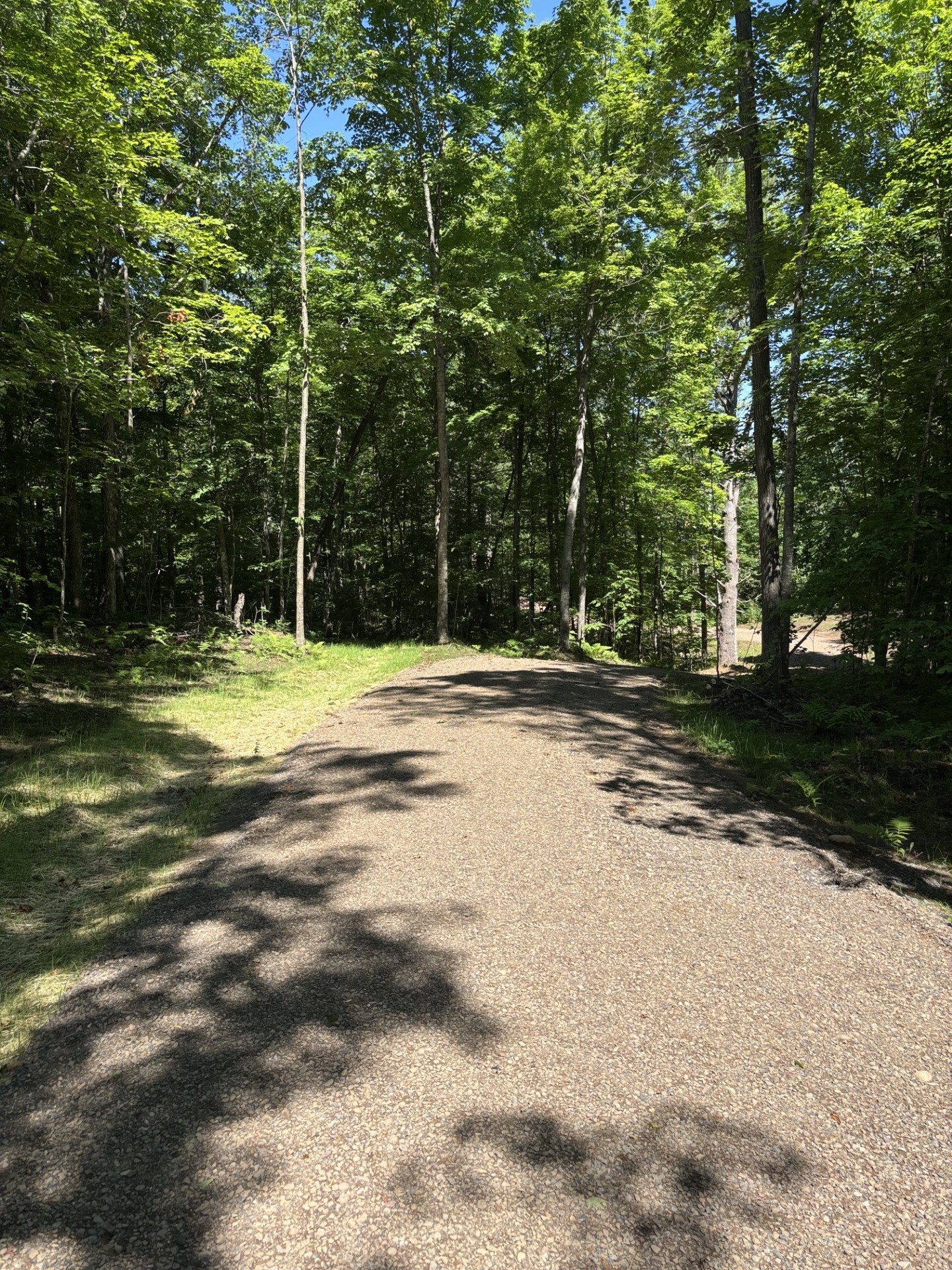 11352n Vasa Road Property Photo 6