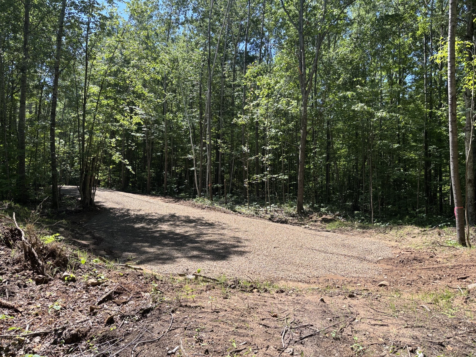 11352n Vasa Road Property Photo 9