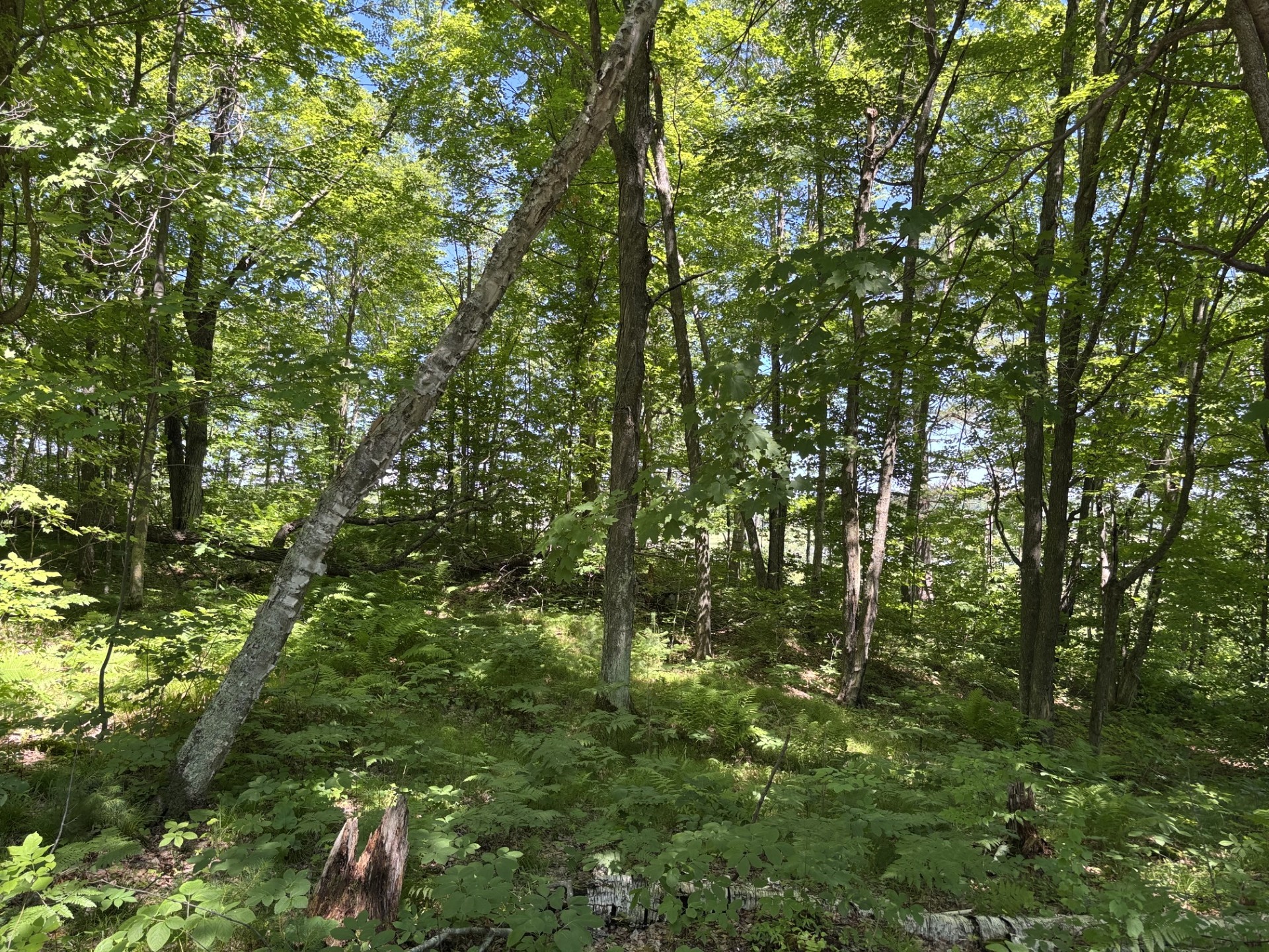 11352n Vasa Road Property Photo 10