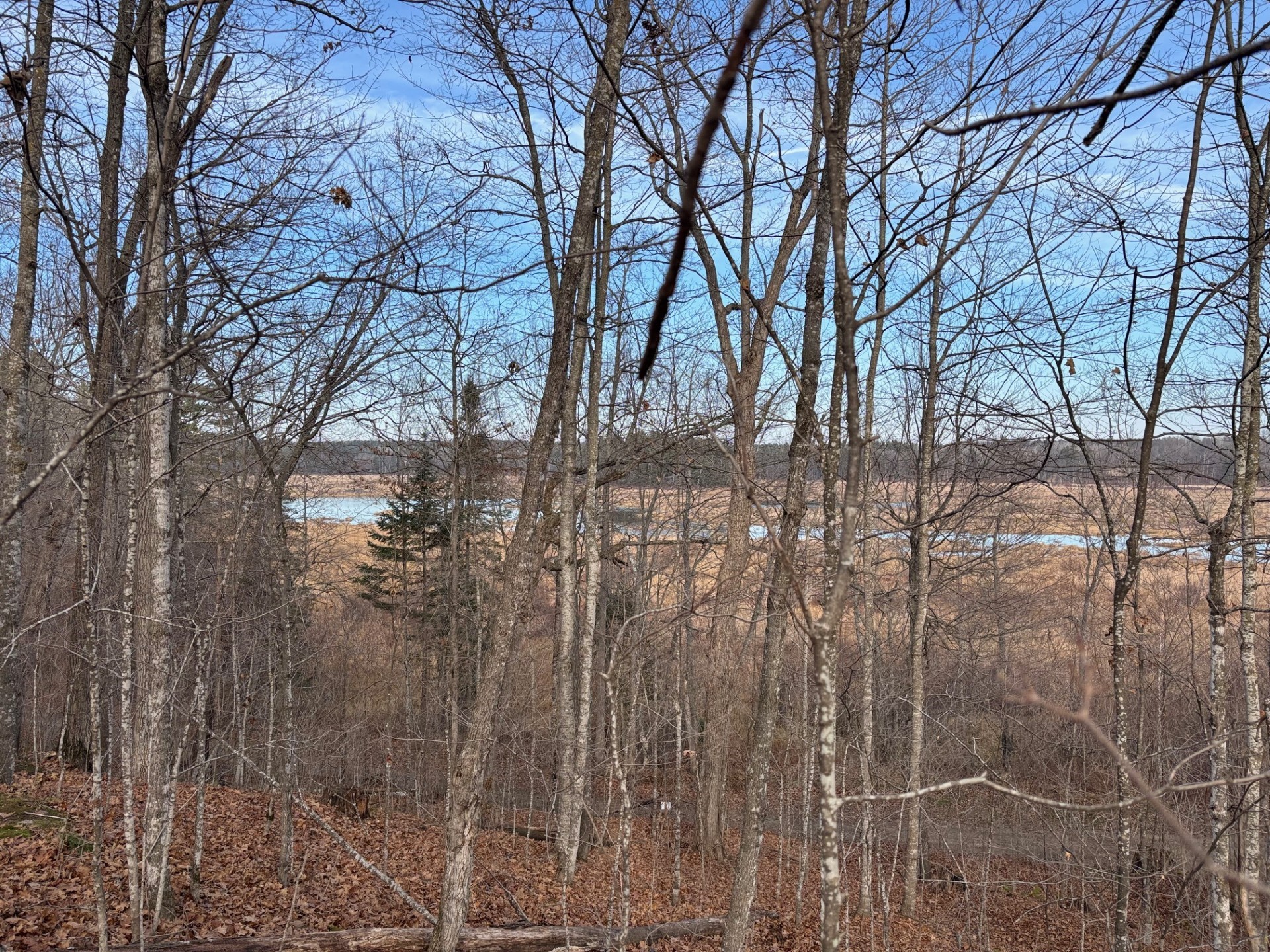 11352n Vasa Road Property Photo 12