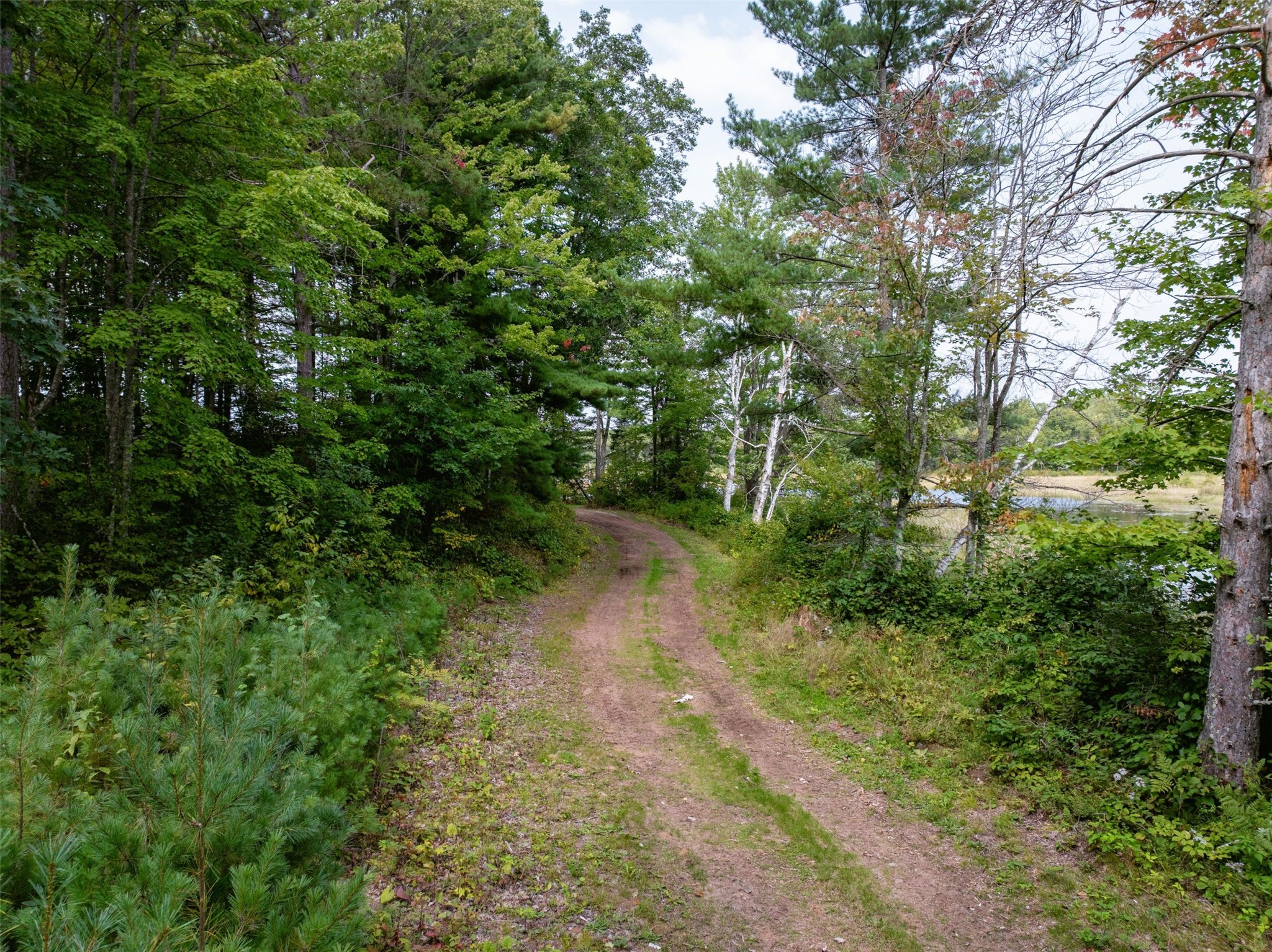 11352n Vasa Road Property Photo 20