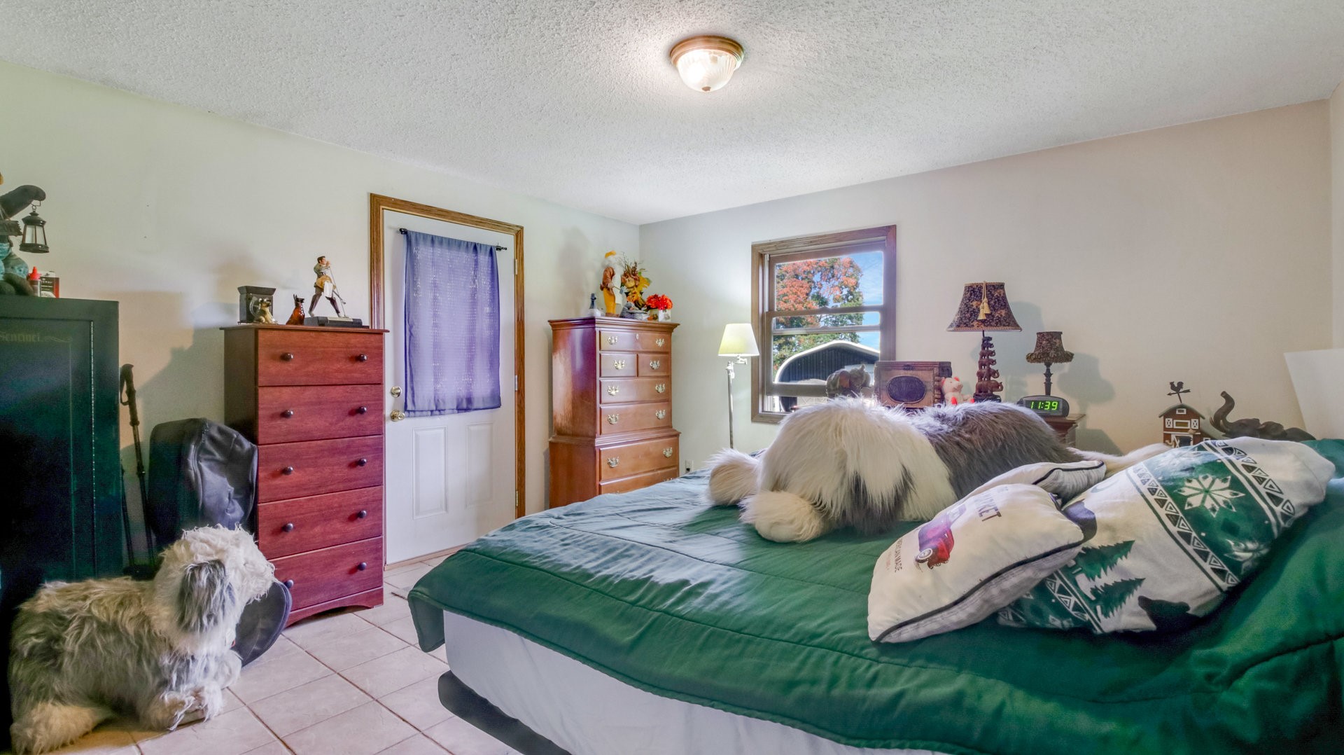 2265 State Highway 87 Property Photo 10