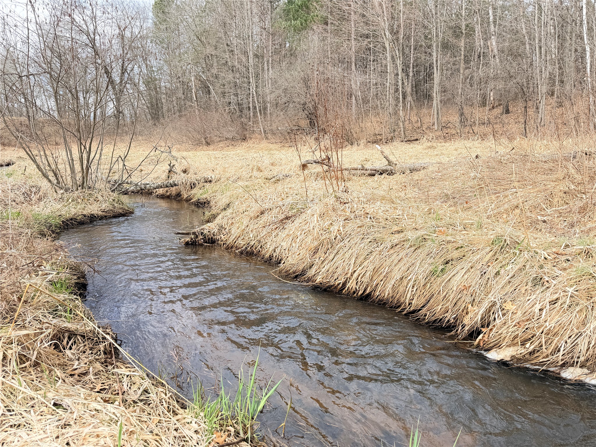 Lot 3 Big Lake Drive Property Photo 1