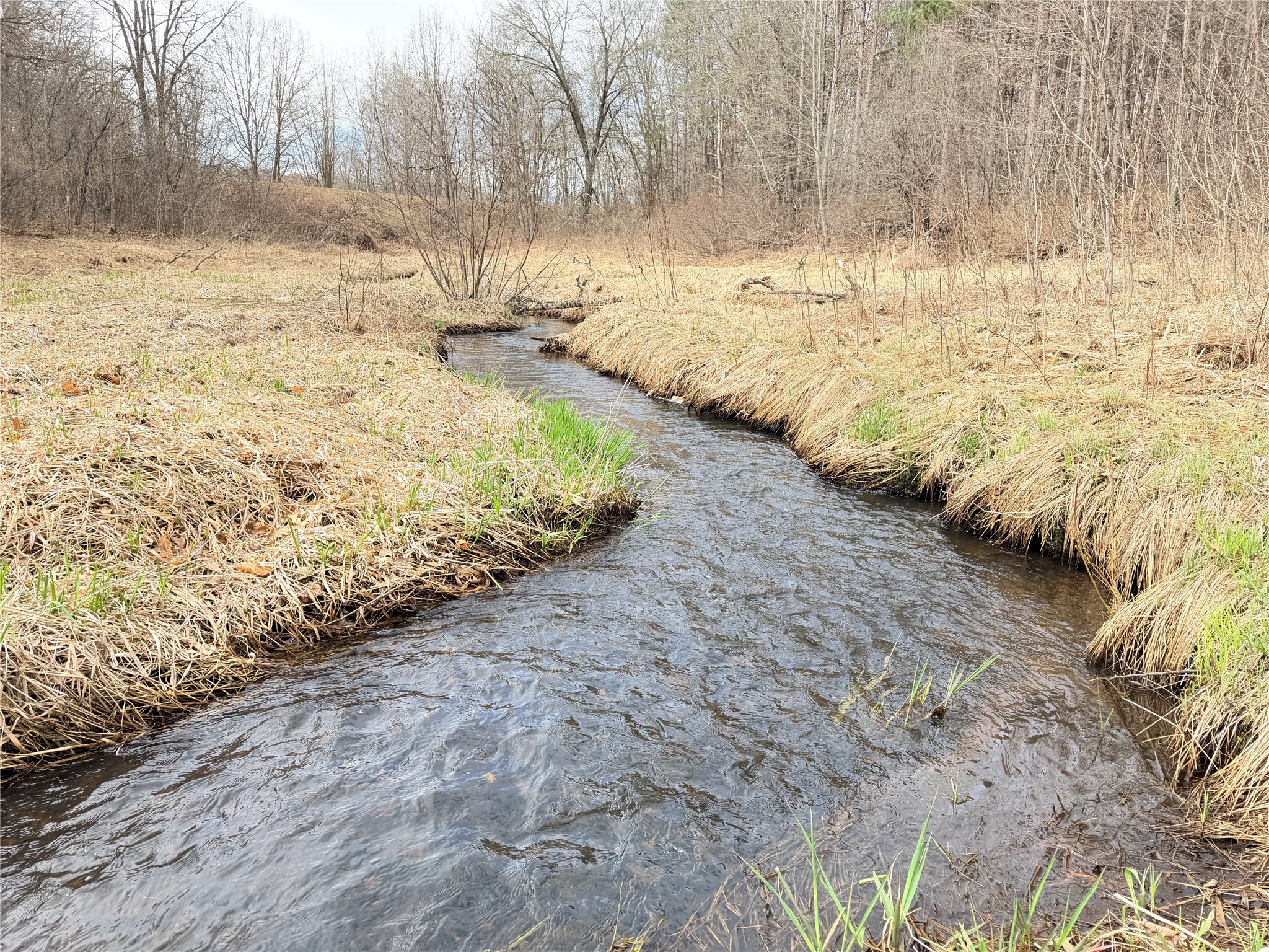 Lot 3 Big Lake Drive Property Photo 2