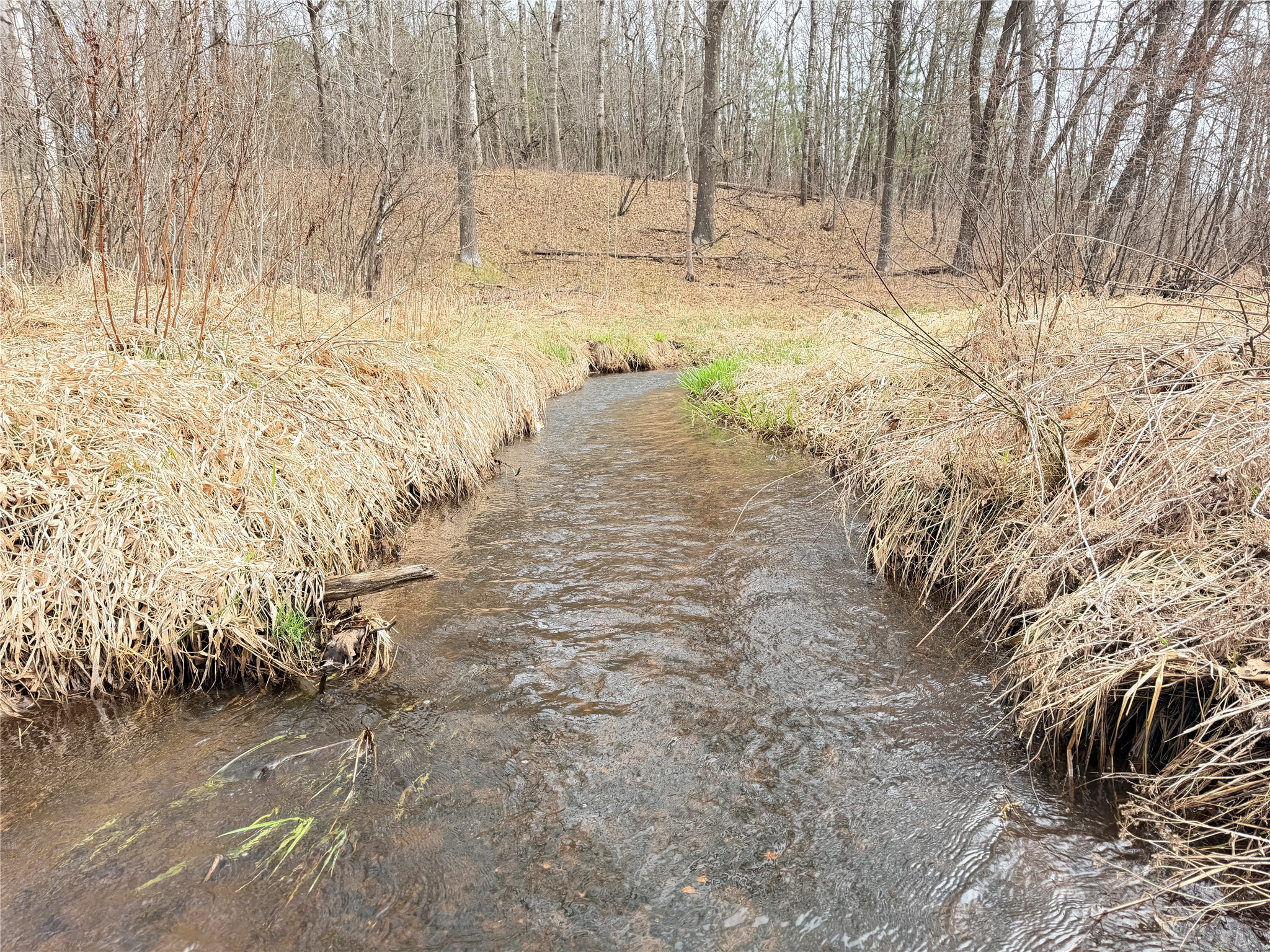 Lot 3 Big Lake Drive Property Photo 4