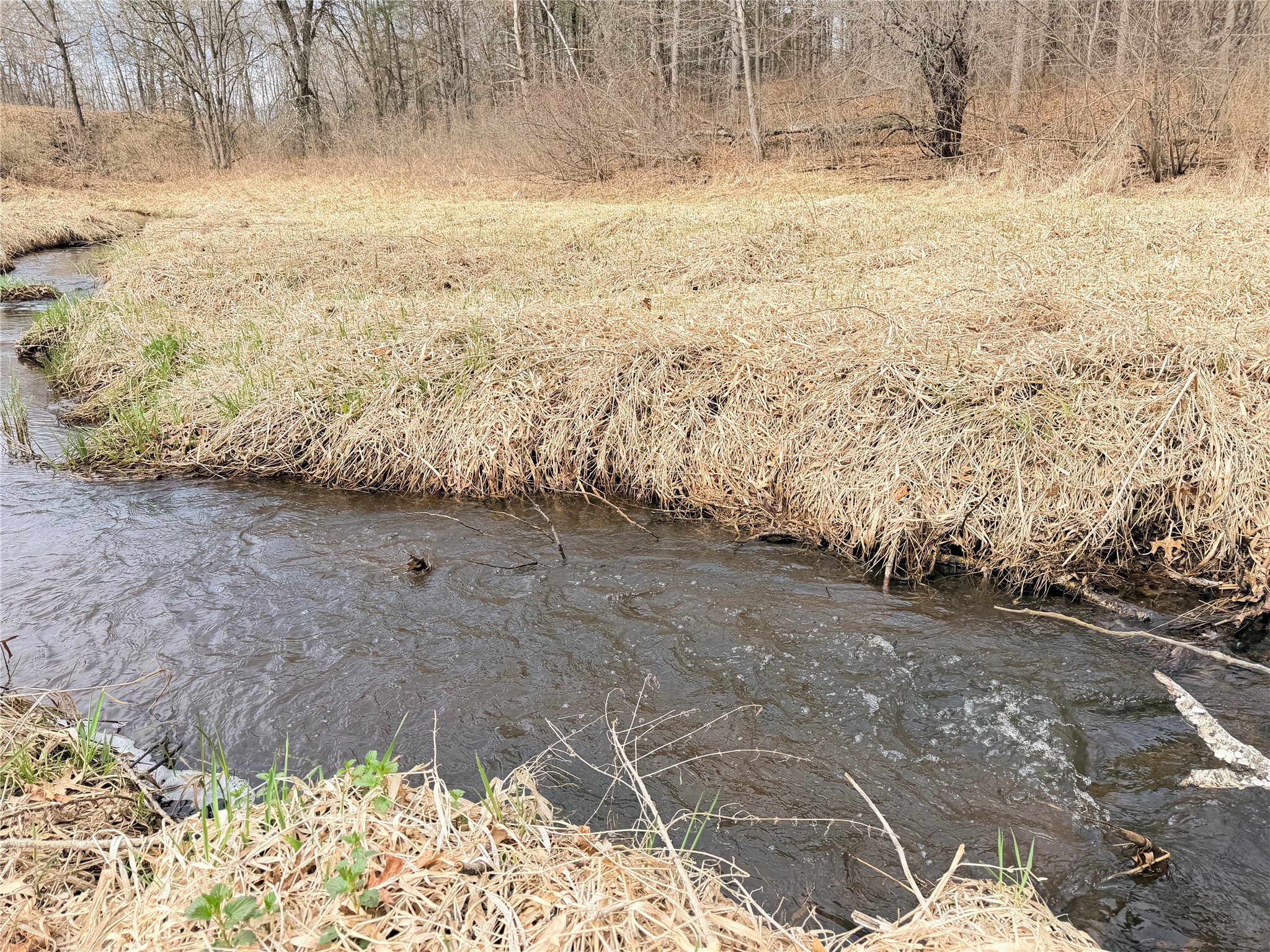 Lot 3 Big Lake Drive Property Photo 6