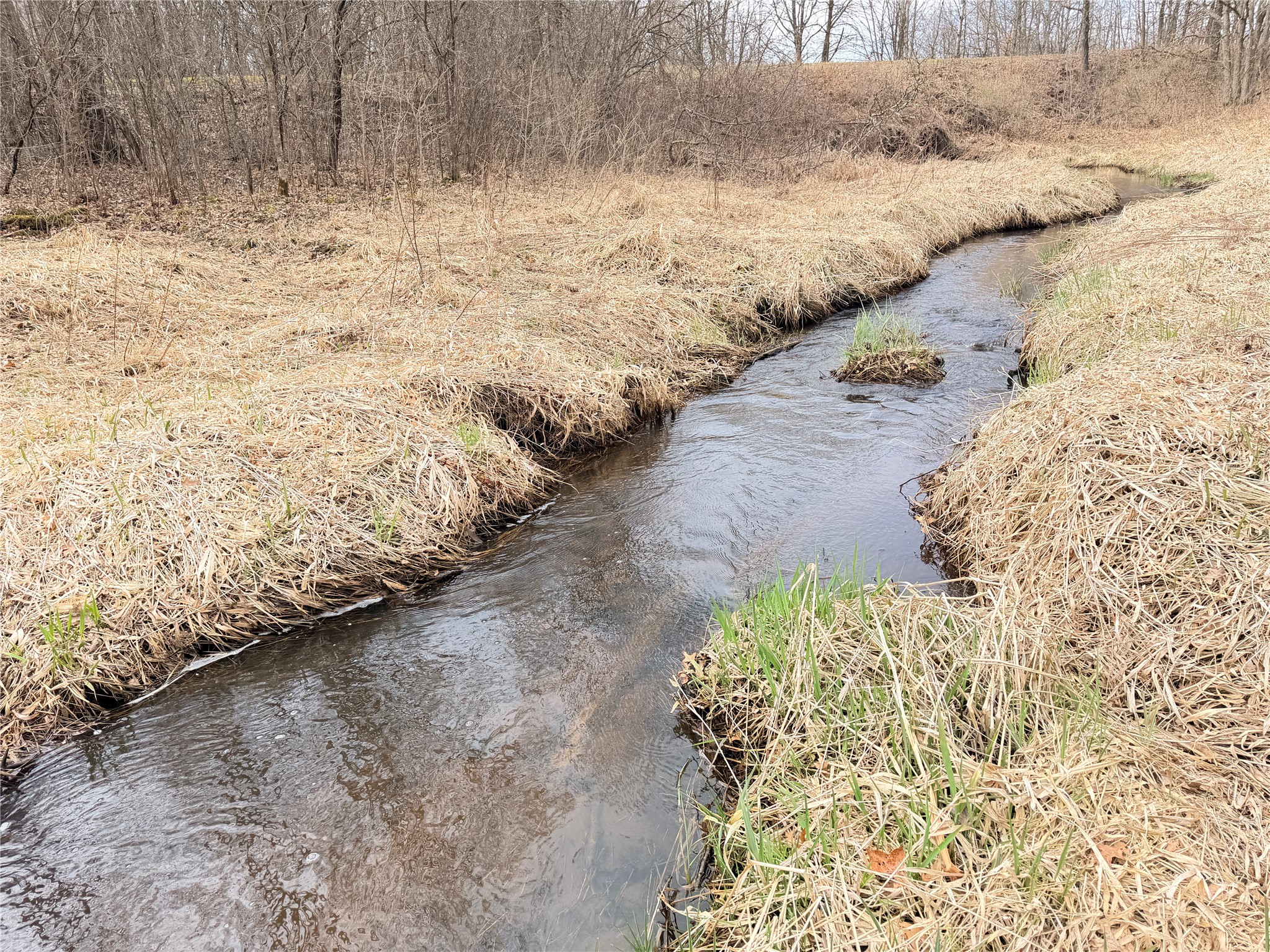 Lot 3 Big Lake Drive Property Photo 8