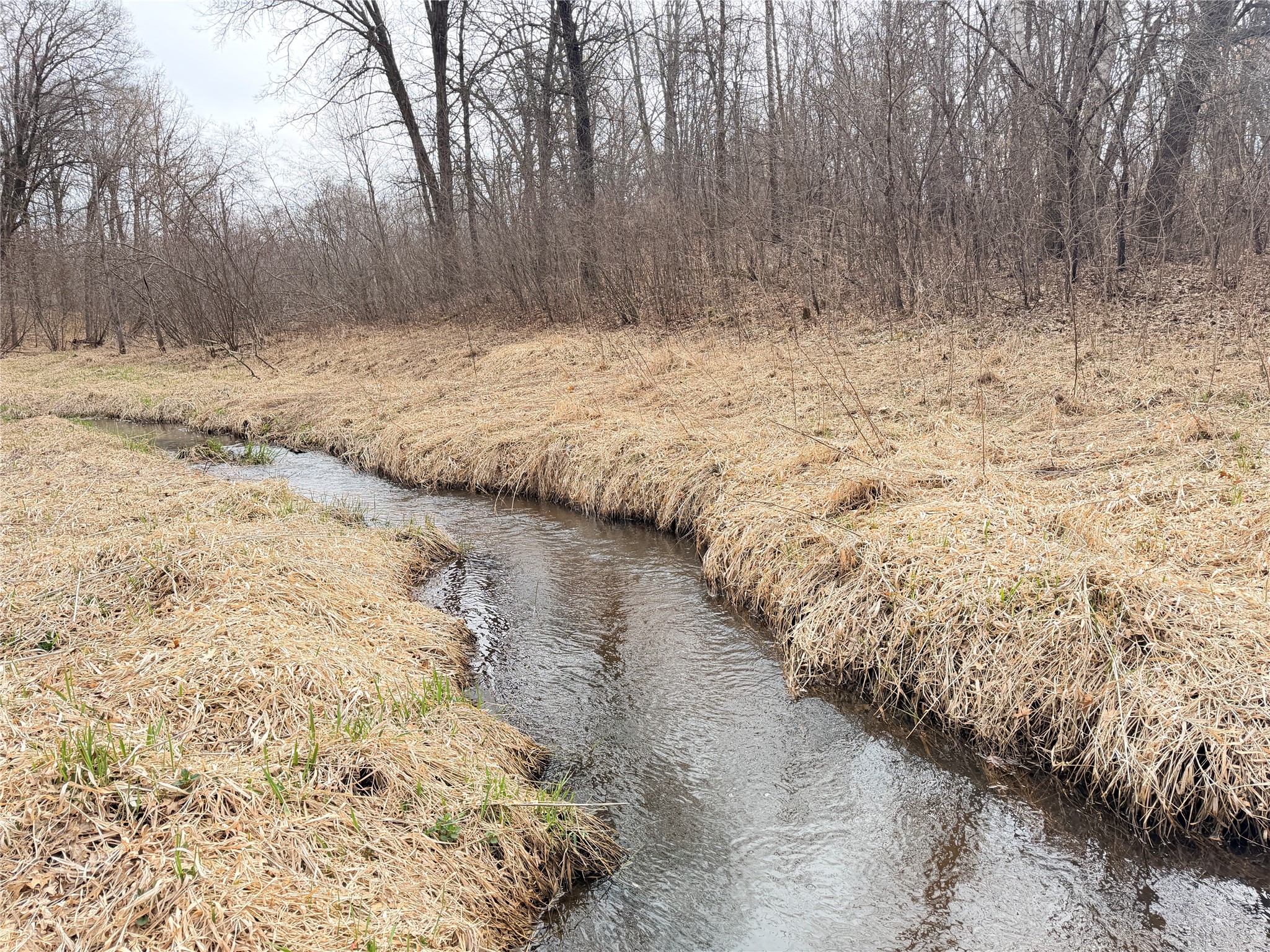 Lot 3 Big Lake Drive Property Photo 10
