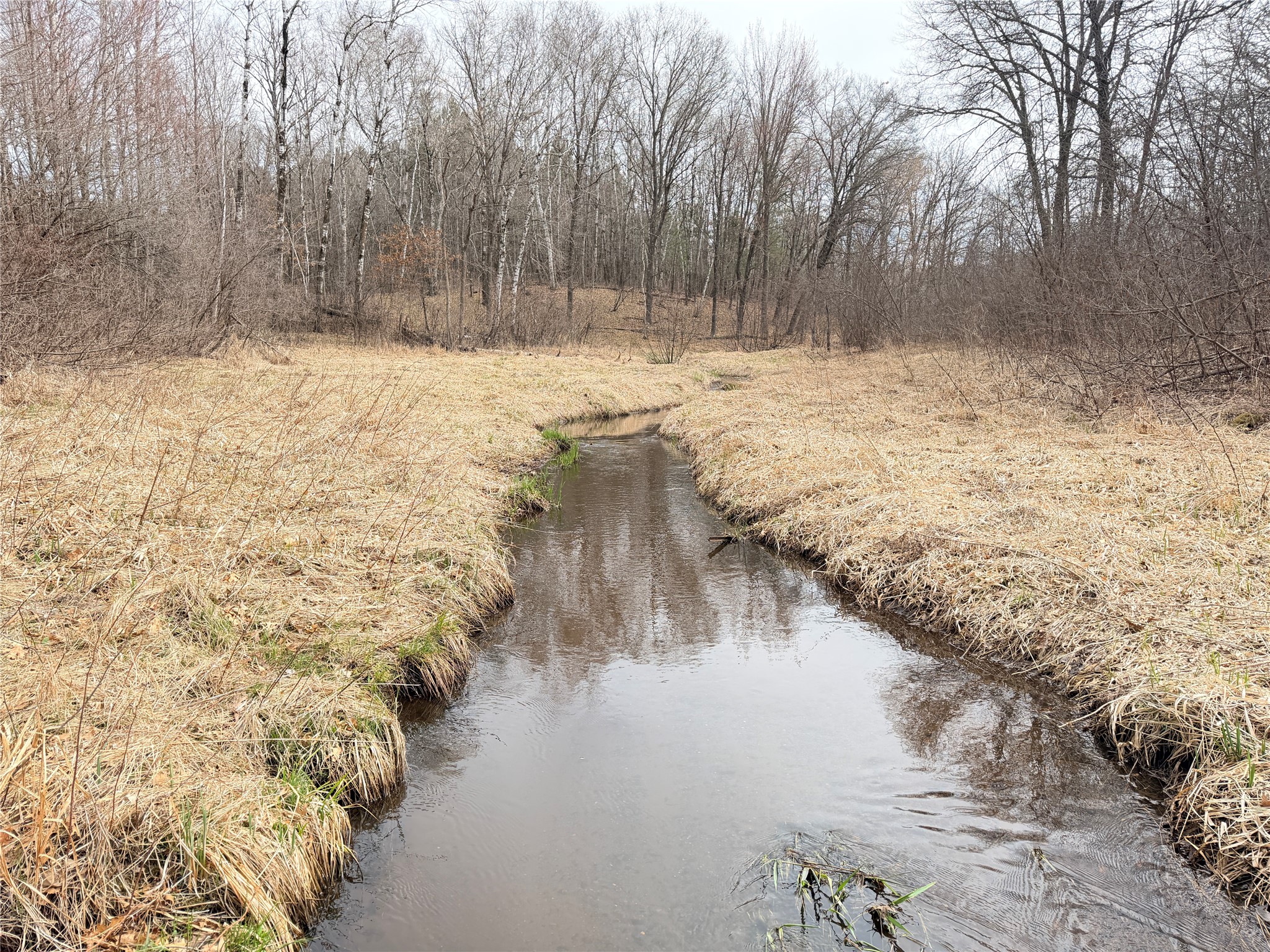 Lot 3 Big Lake Drive Property Photo 12