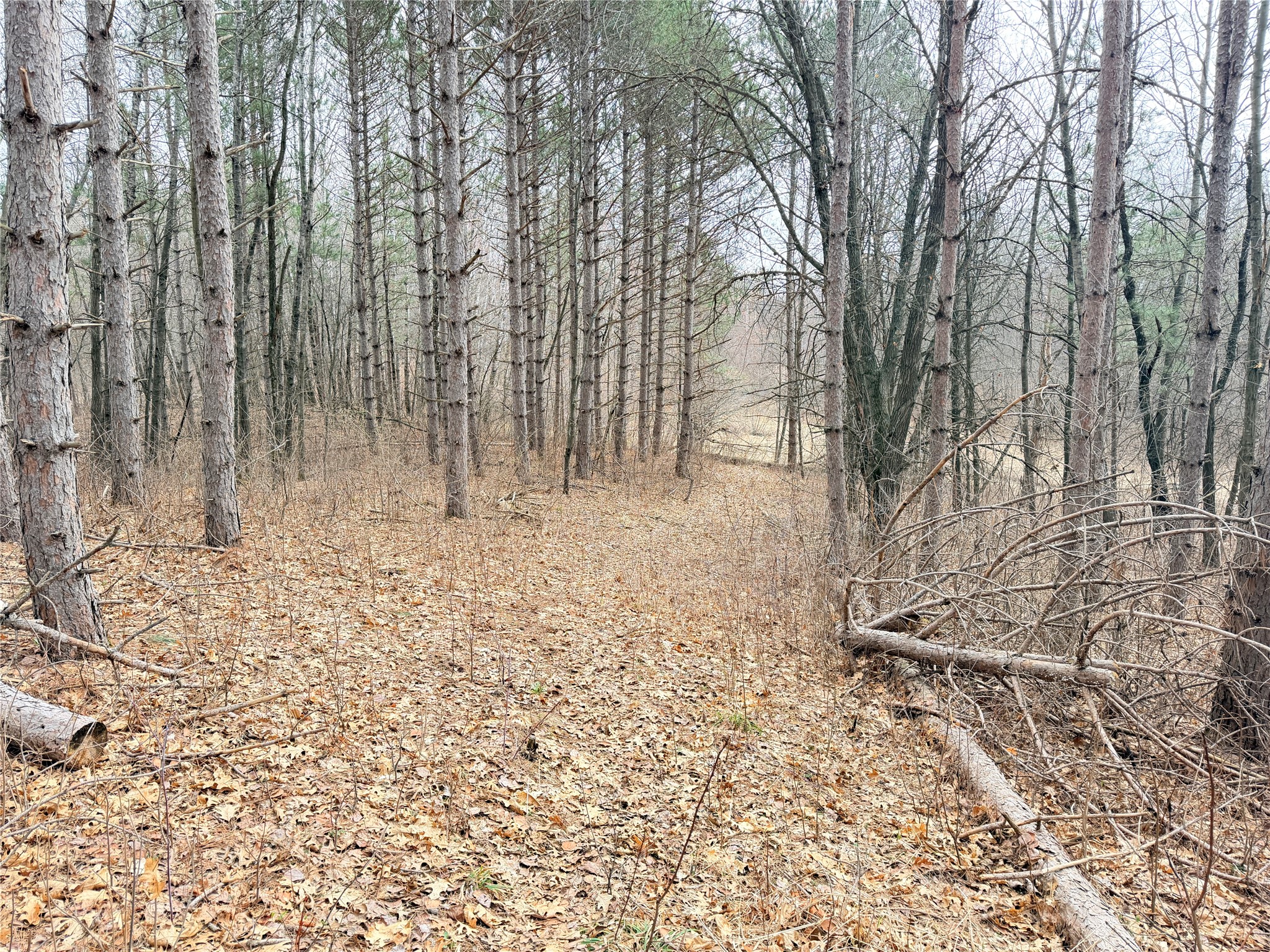 Lot 3 Big Lake Drive Property Photo 13