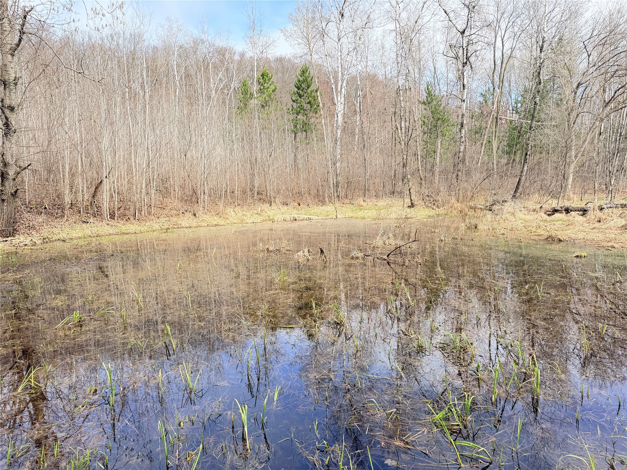 Lot 3 Big Lake Drive Property Photo 14