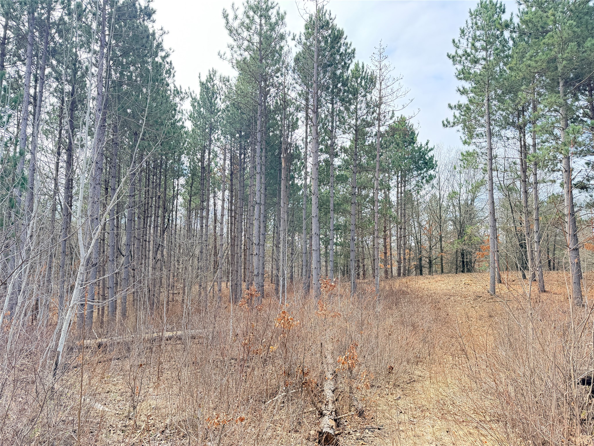 Lot 3 Big Lake Drive Property Photo 15