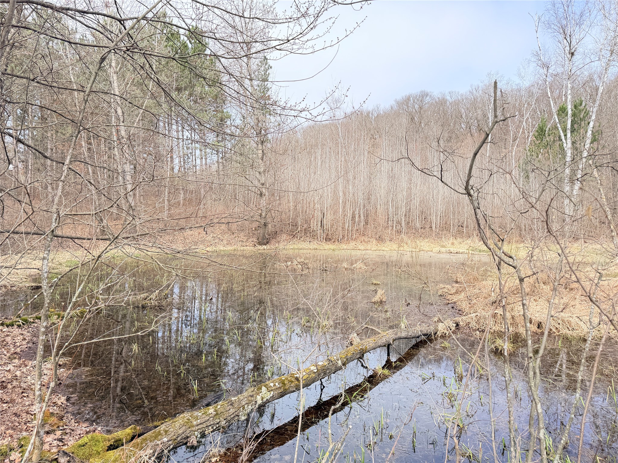 Lot 3 Big Lake Drive Property Photo 16