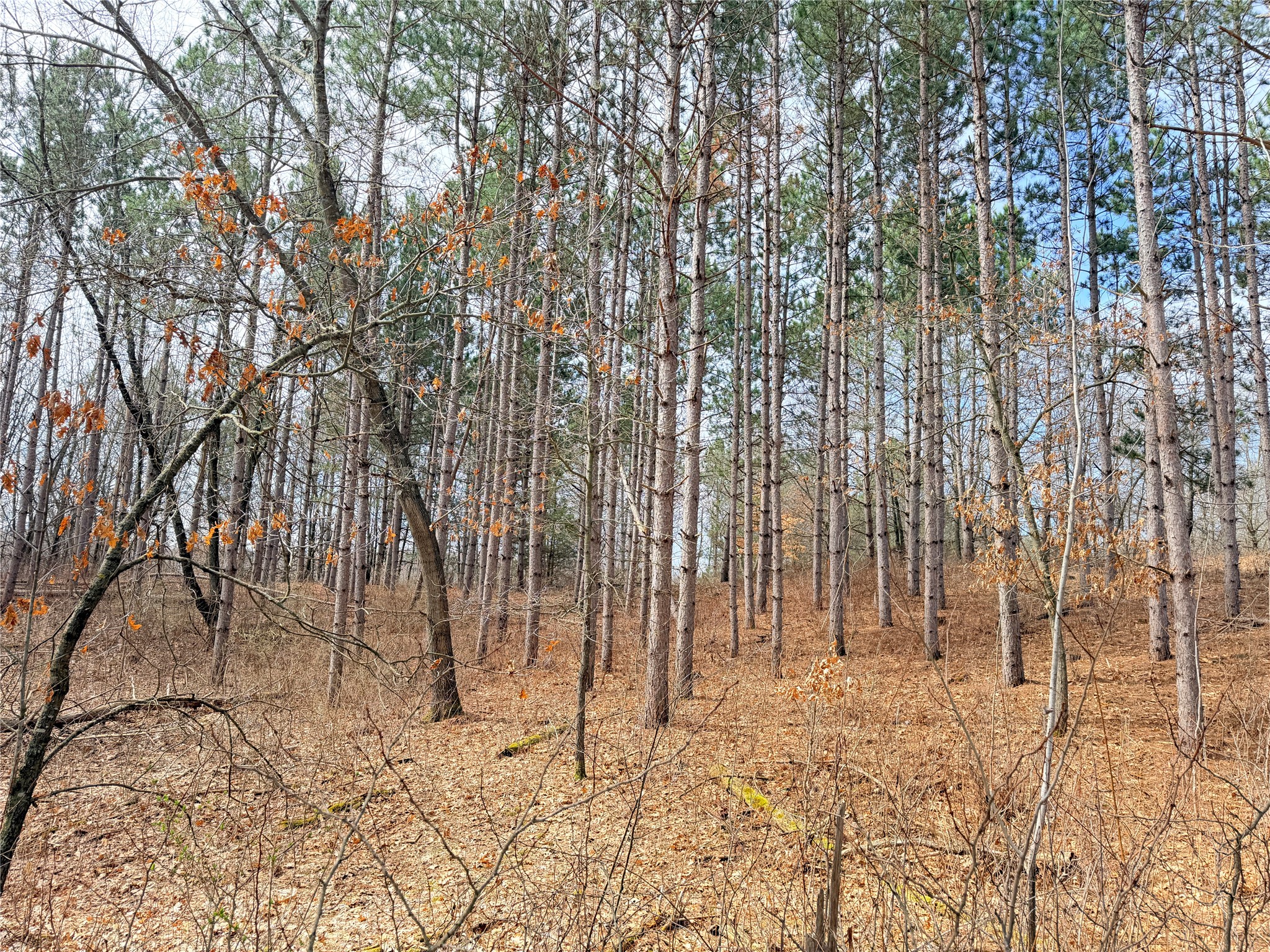 Lot 3 Big Lake Drive Property Photo 17