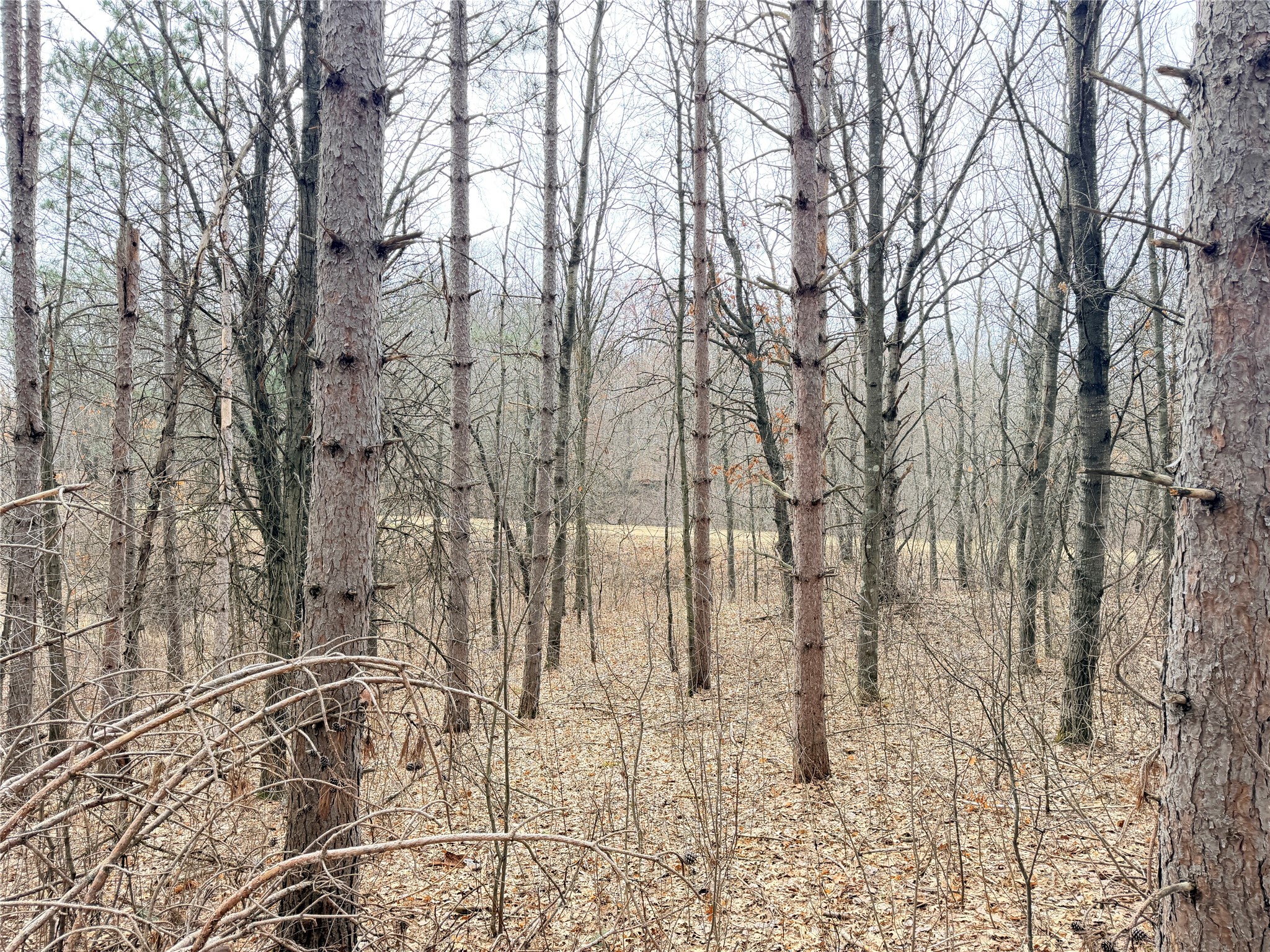 Lot 3 Big Lake Drive Property Photo 18