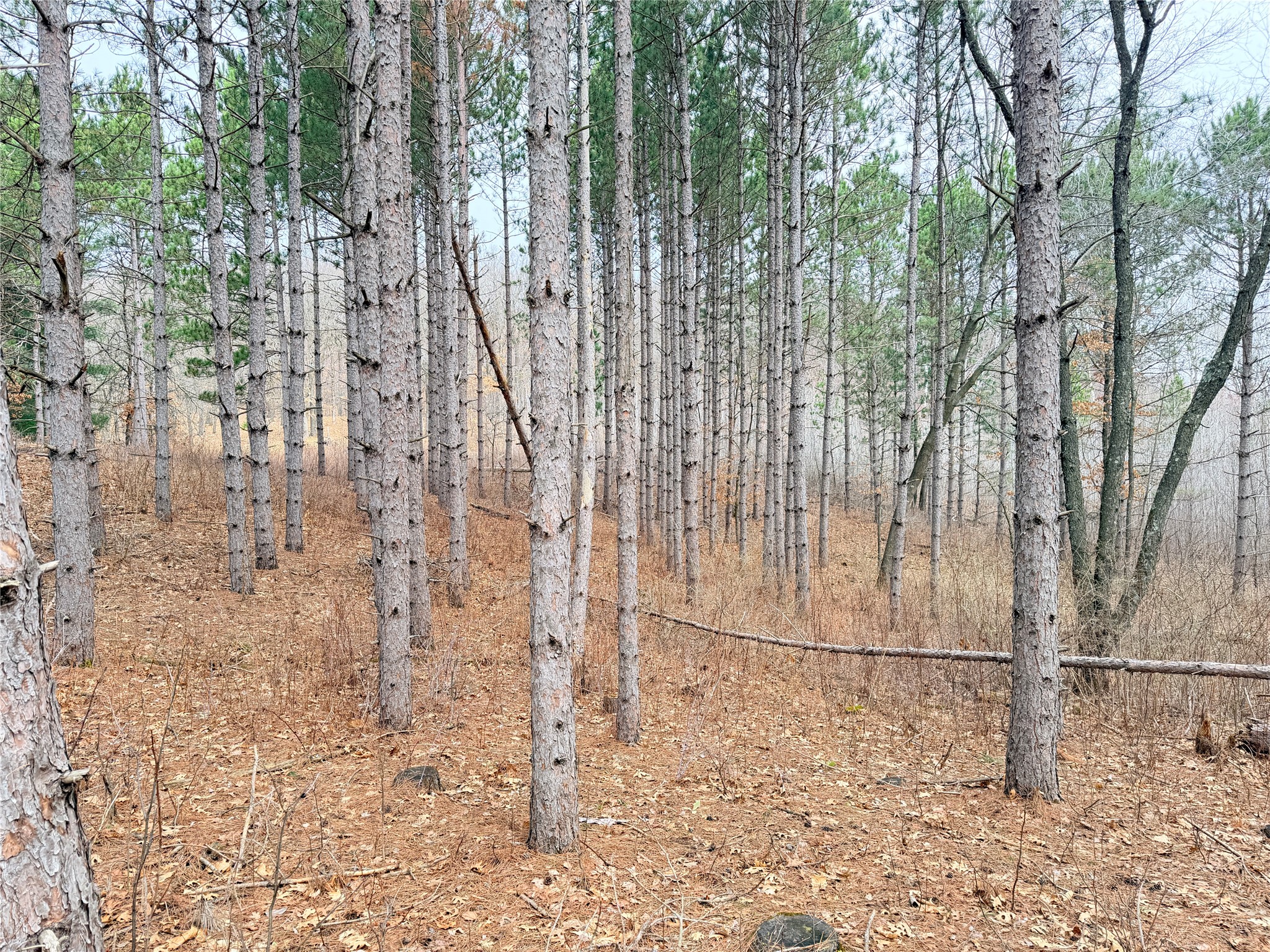 Lot 3 Big Lake Drive Property Photo 19