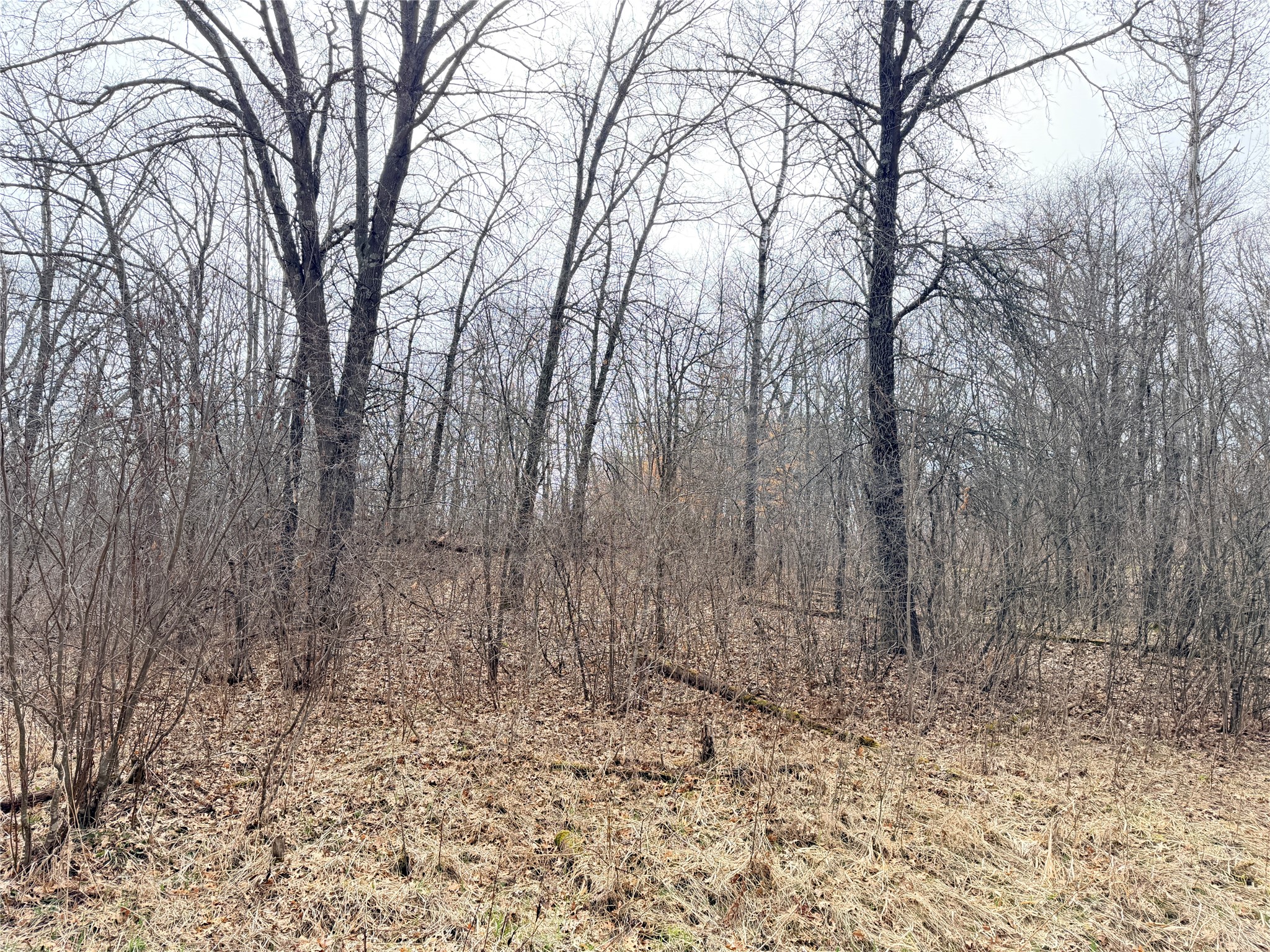 Lot 3 Big Lake Drive Property Photo 20