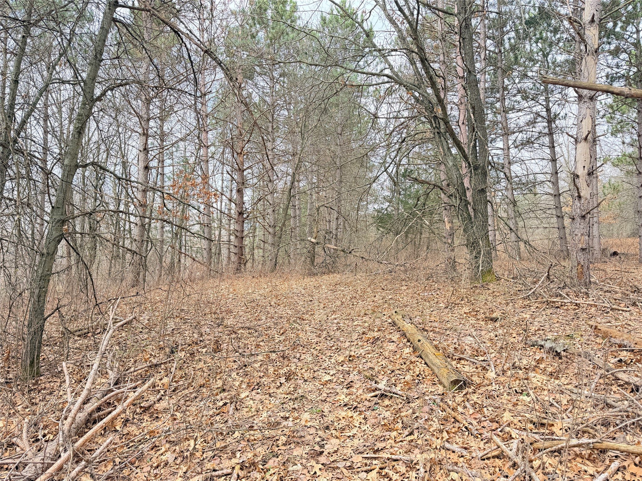 Lot 3 Big Lake Drive Property Photo 22