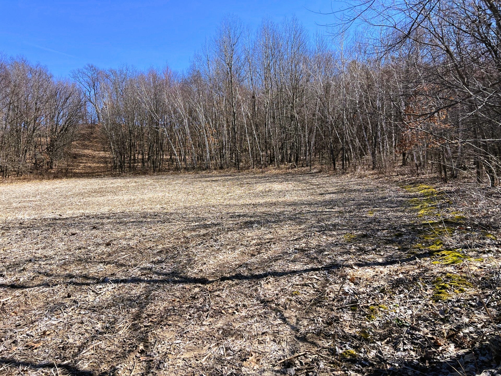 000 Pete Coulee Road Property Photo 41