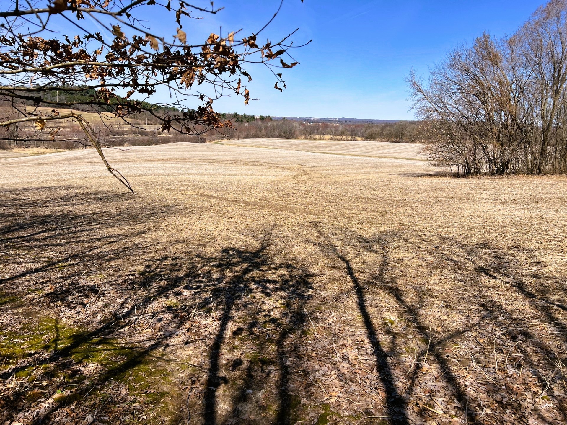 000 Pete Coulee Road Property Photo 43