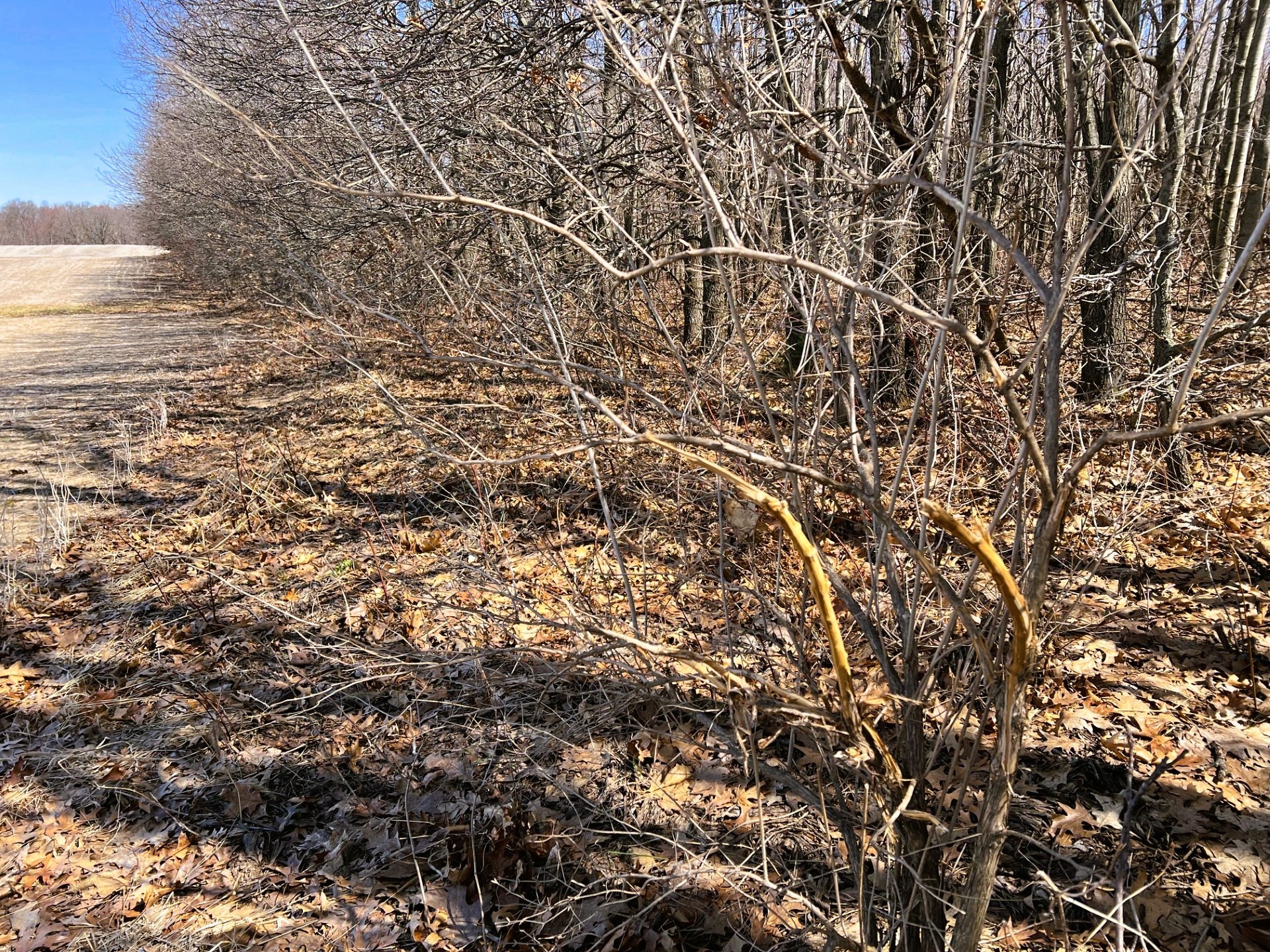 000 Pete Coulee Road Property Photo 49