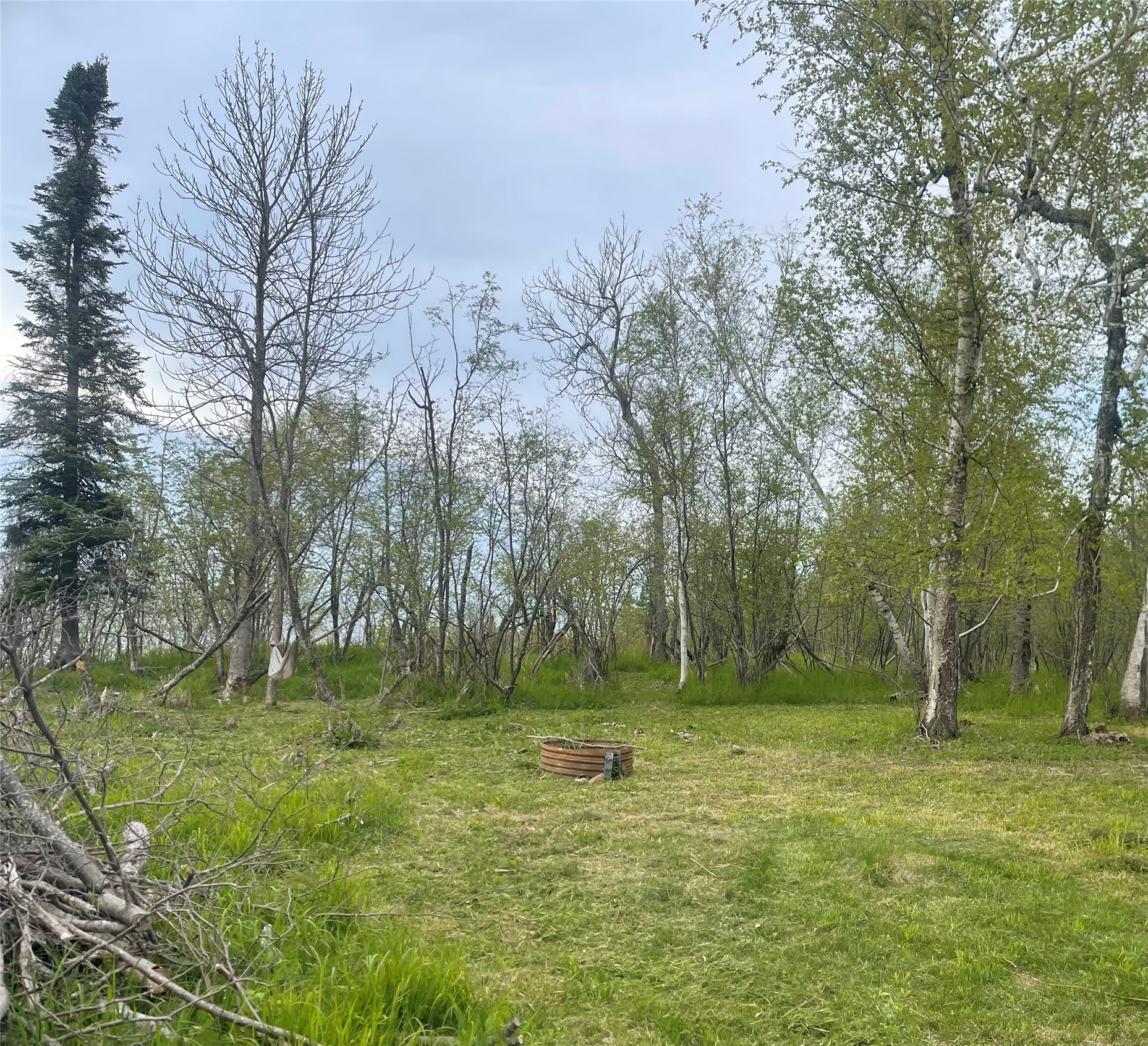 10427 E Devries Road Property Photo 6