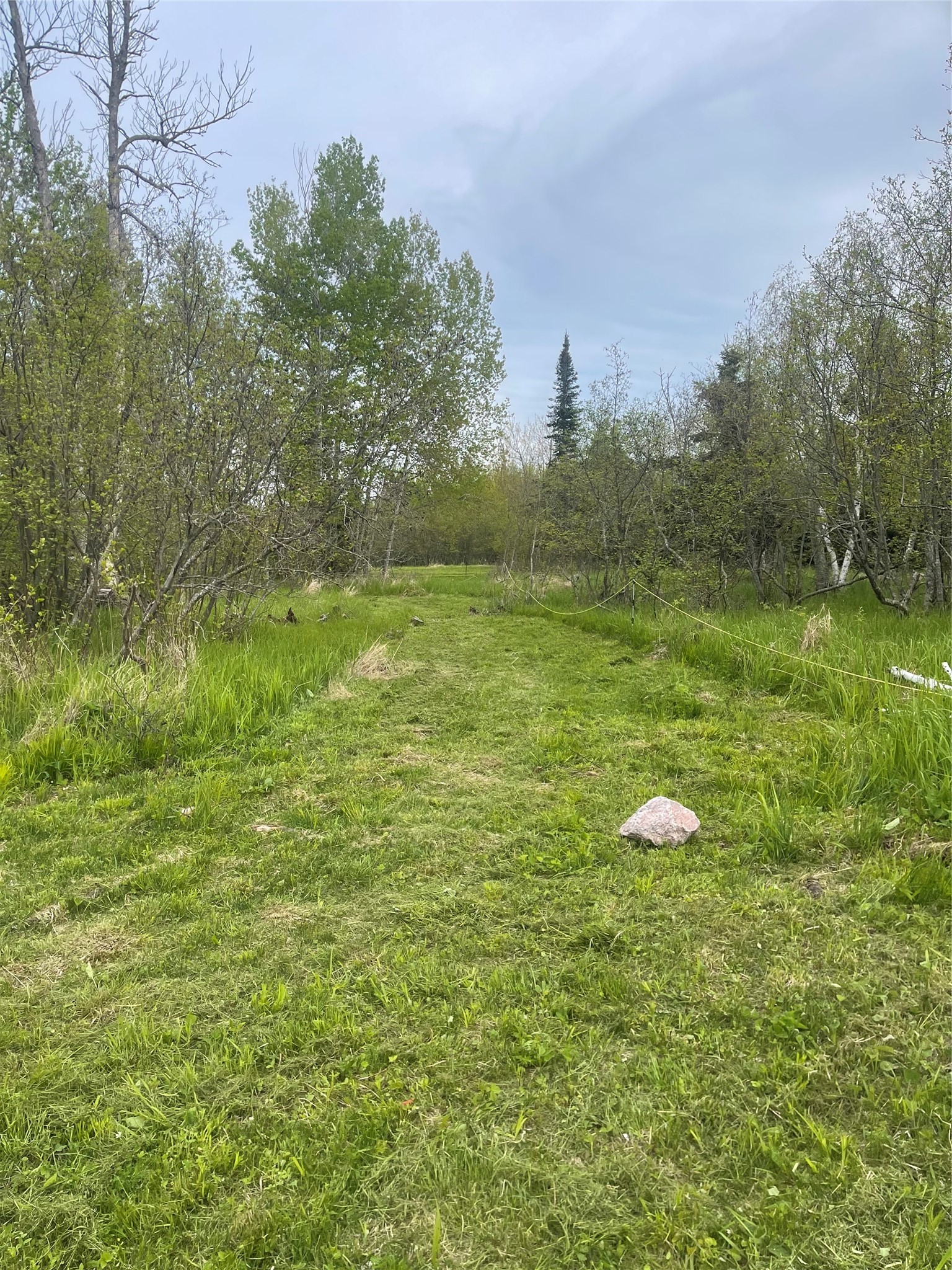 10427 E Devries Road Property Photo 8