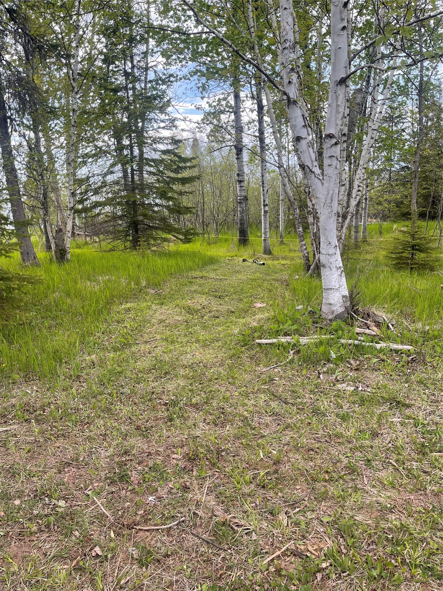 10427 E Devries Road Property Photo 9