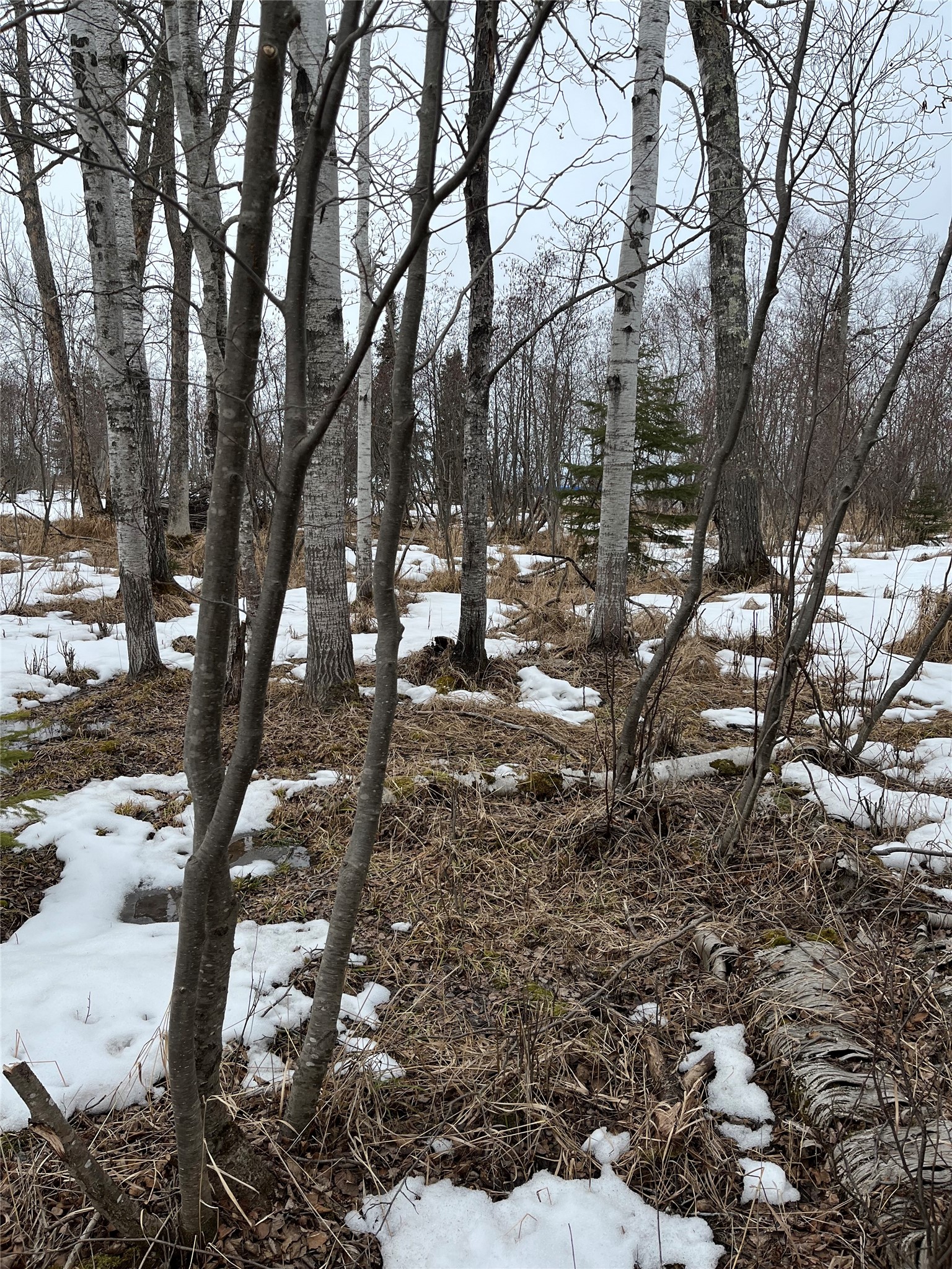 10427 E Devries Road Property Photo 19