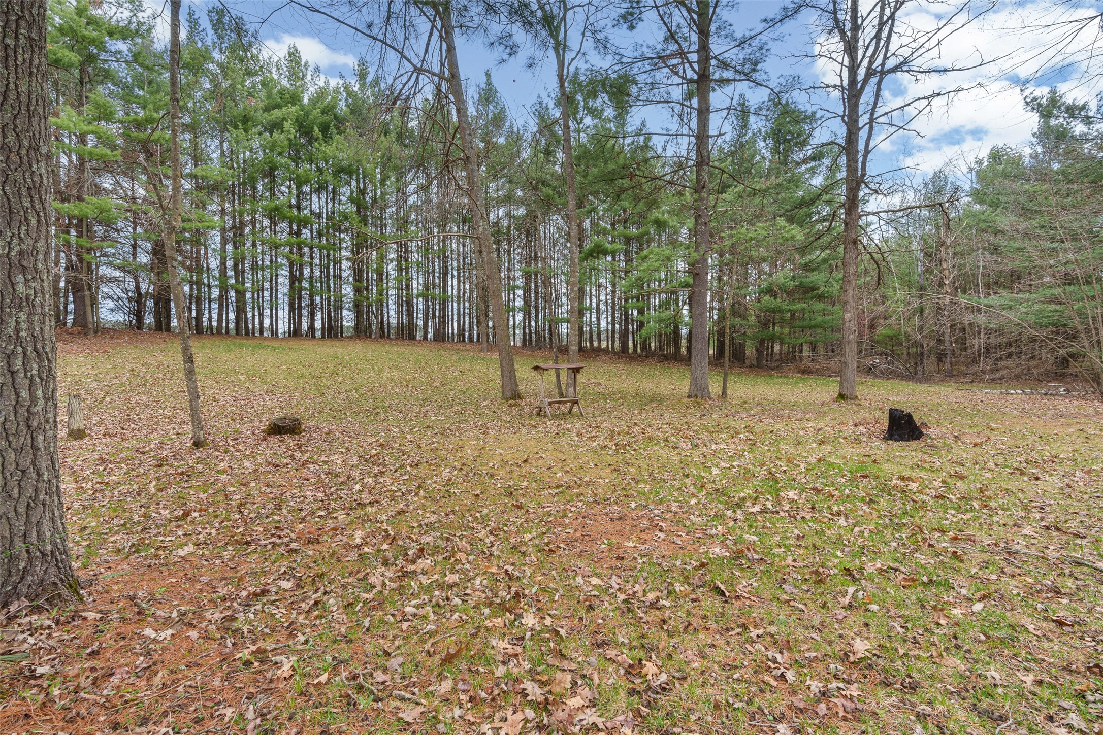 N5353 Thornapple Road Property Photo 43