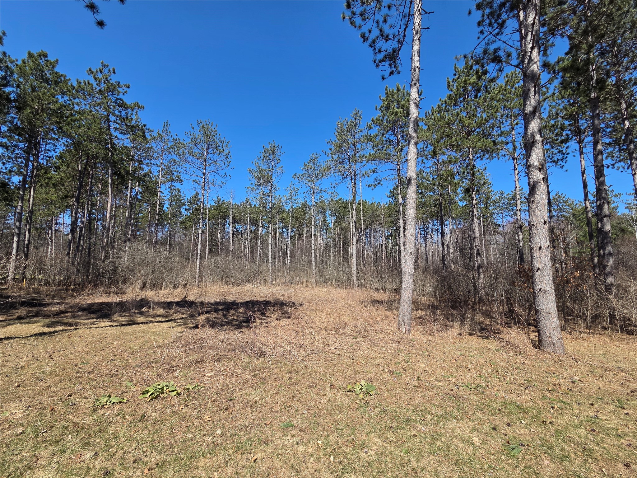 000 11 3/8 Avenue Property Photo 1