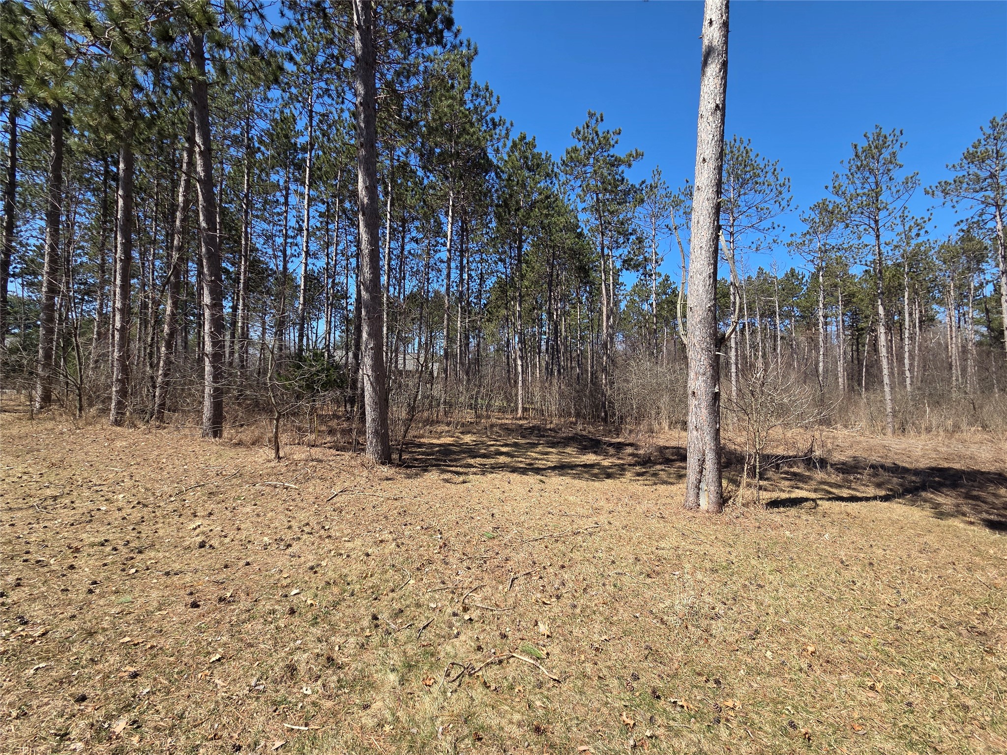 000 11 3/8 Avenue Property Photo 6