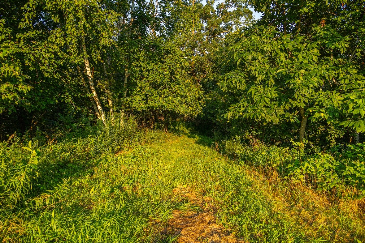 0 County Road S Property Photo 19