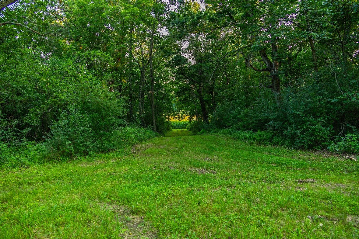0 County Road S Property Photo 33