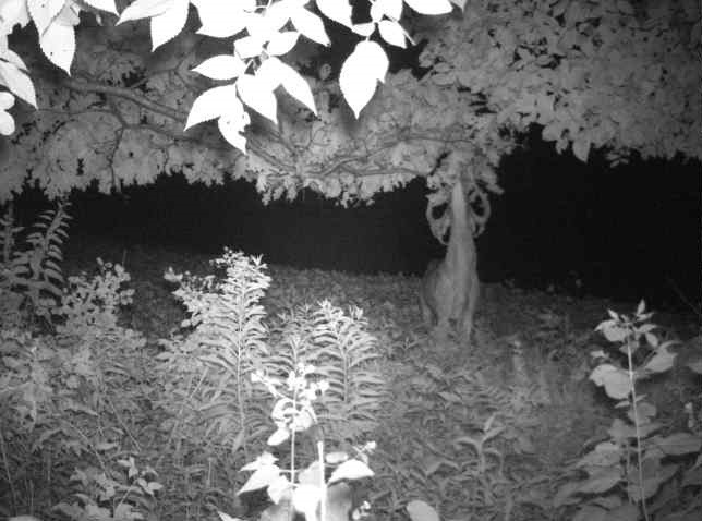 0 County Road S Property Photo 24